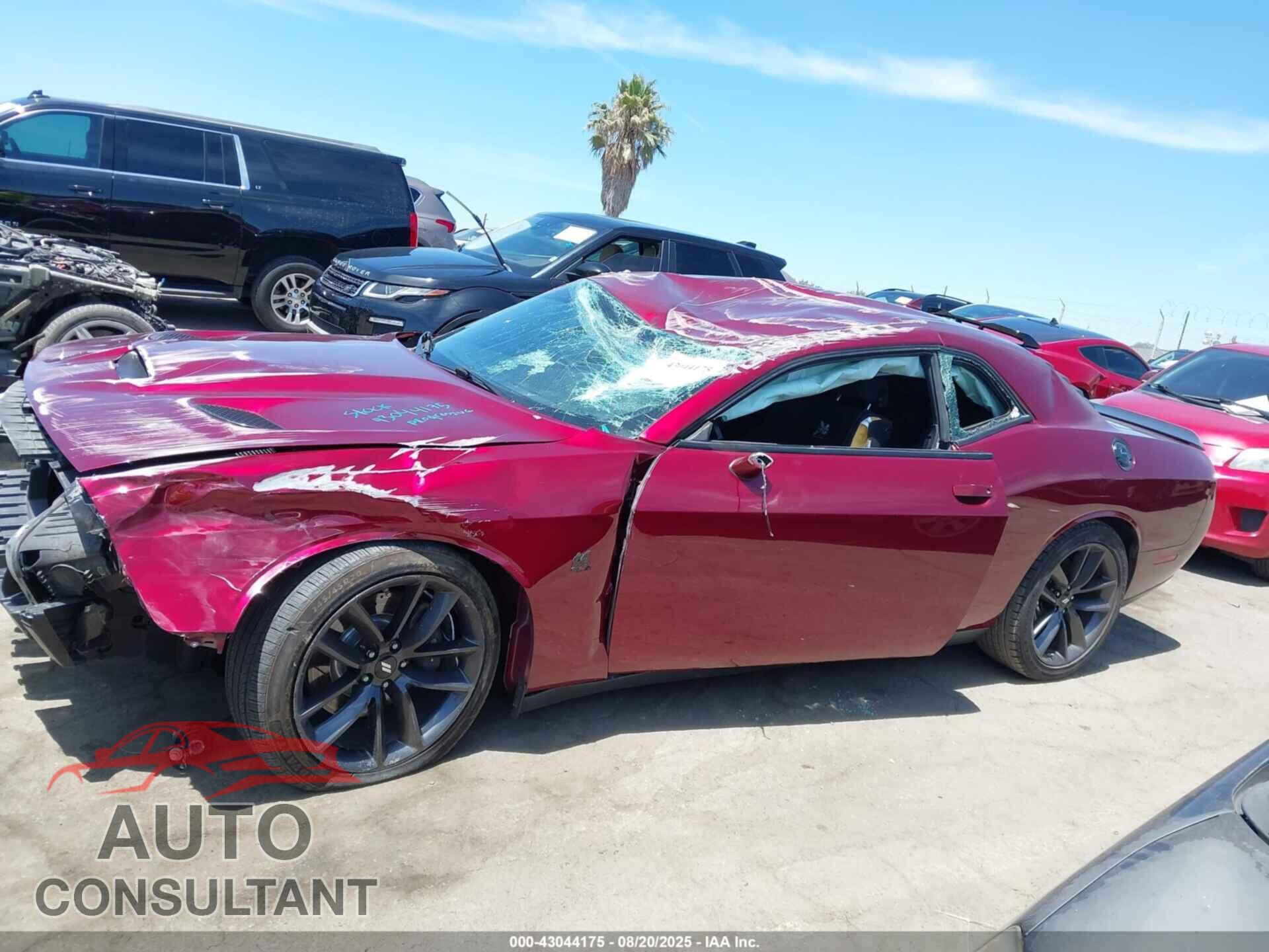DODGE CHALLENGER 2019 - 2C3CDZFJ2KH750217