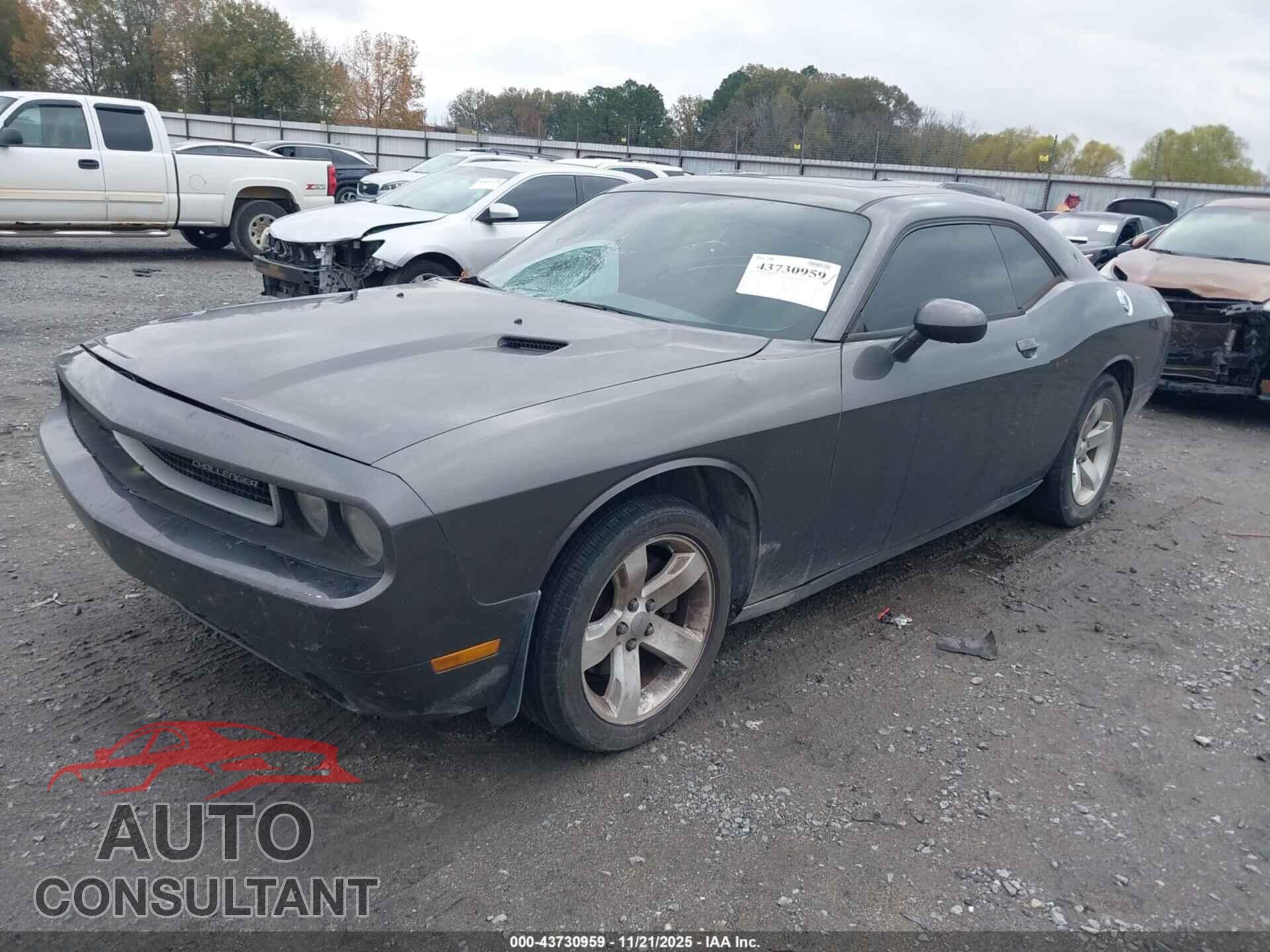 DODGE CHALLENGER 2013 - 2C3CDYAG7DH549437