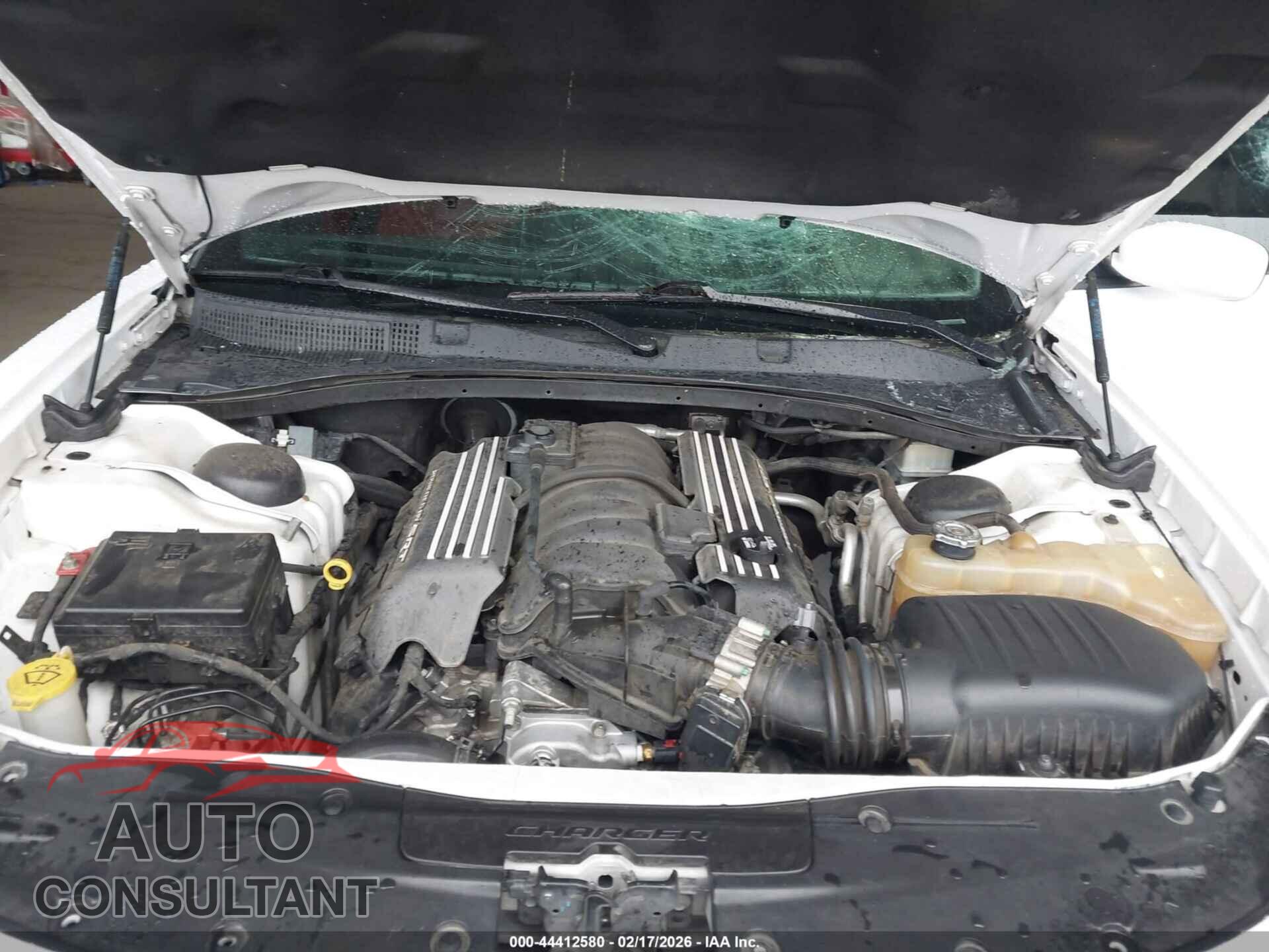 DODGE CHARGER 2019 - 2C3CDXGJ2KH696565