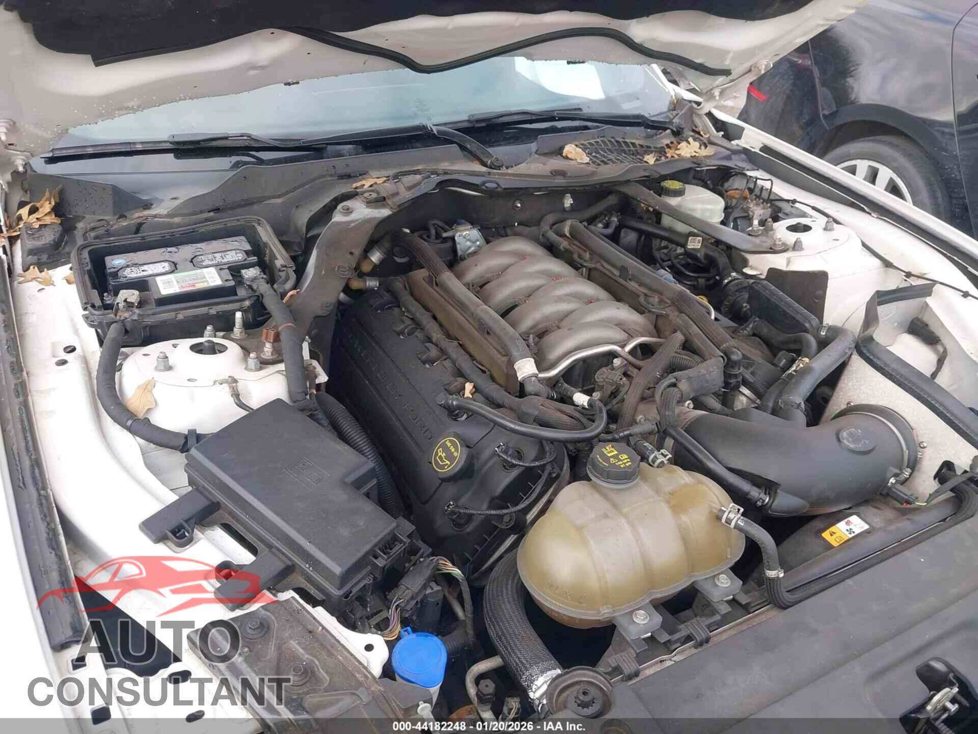 FORD MUSTANG 2017 - 1FA6P8CF7H5272912
