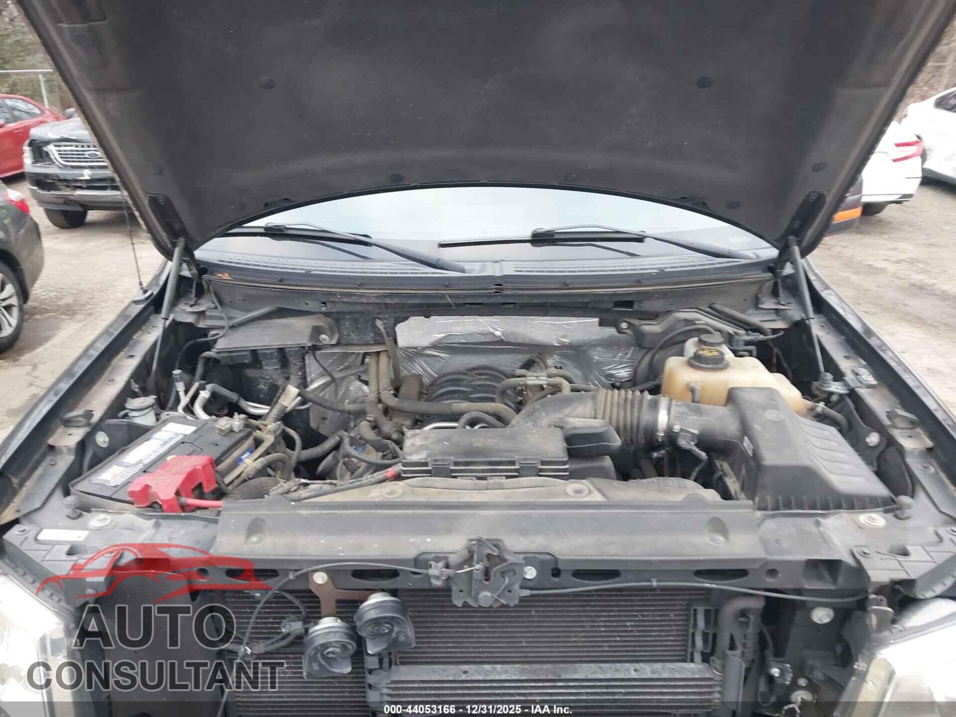 FORD F-150 2012 - 1FTFX1EF8CFC07245