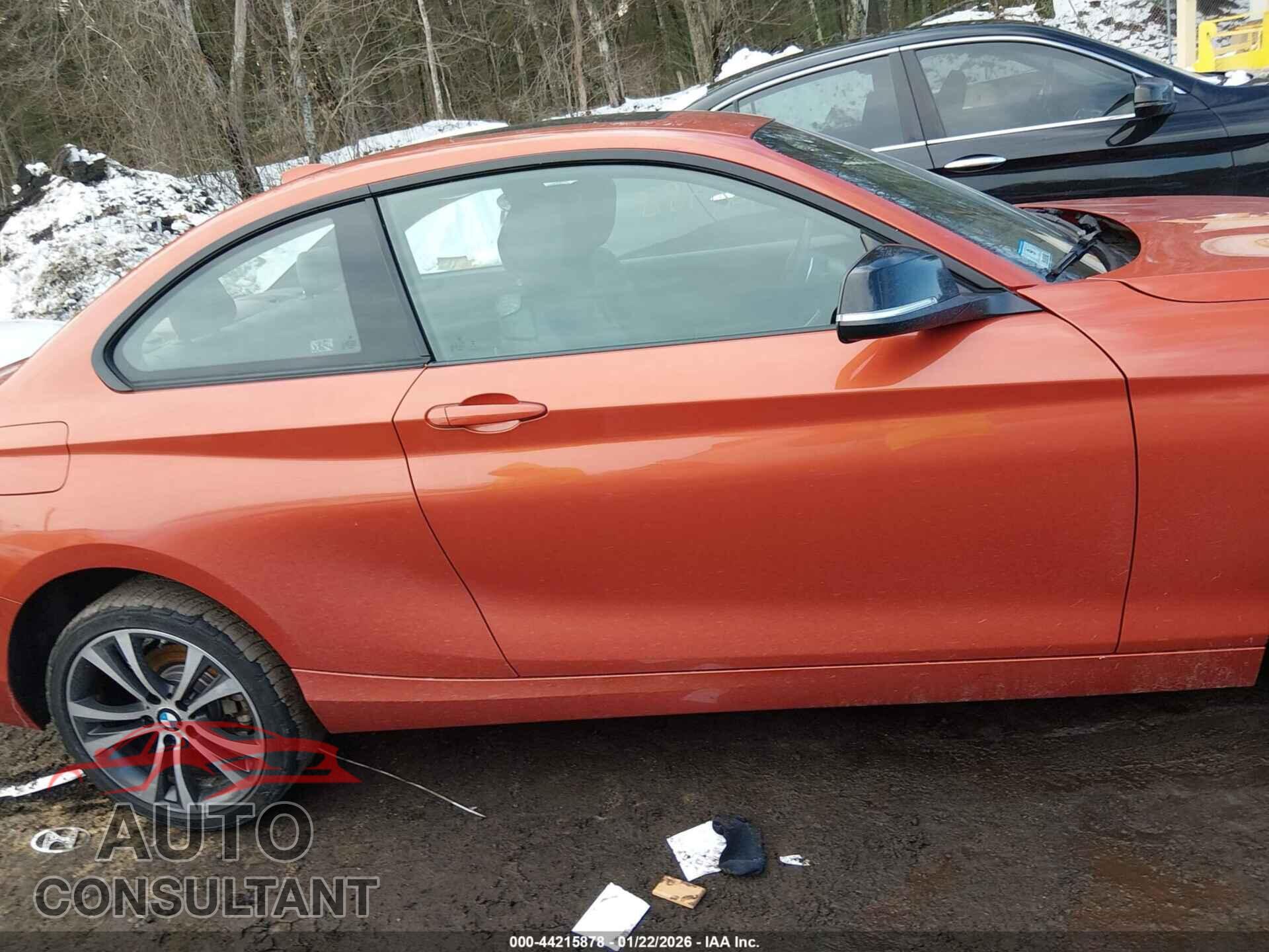 BMW 228I 2015 - WBA1F7C5XFVX95716