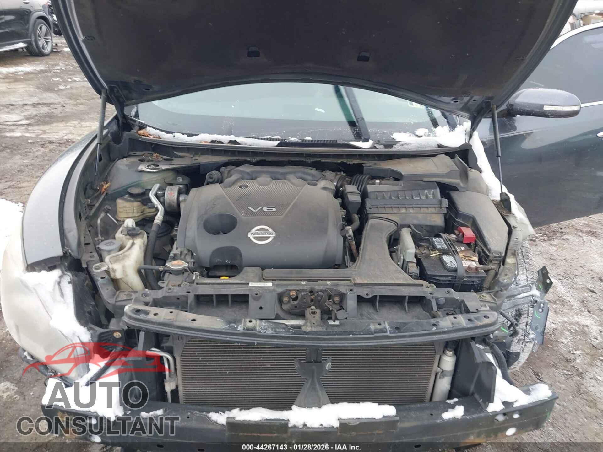 NISSAN MAXIMA 2010 - 1N4AA5AP6AC842776