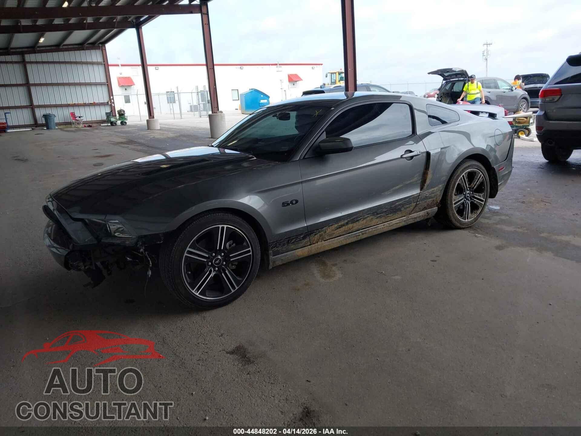 FORD MUSTANG 2013 - 1ZVBP8CF5D5265585
