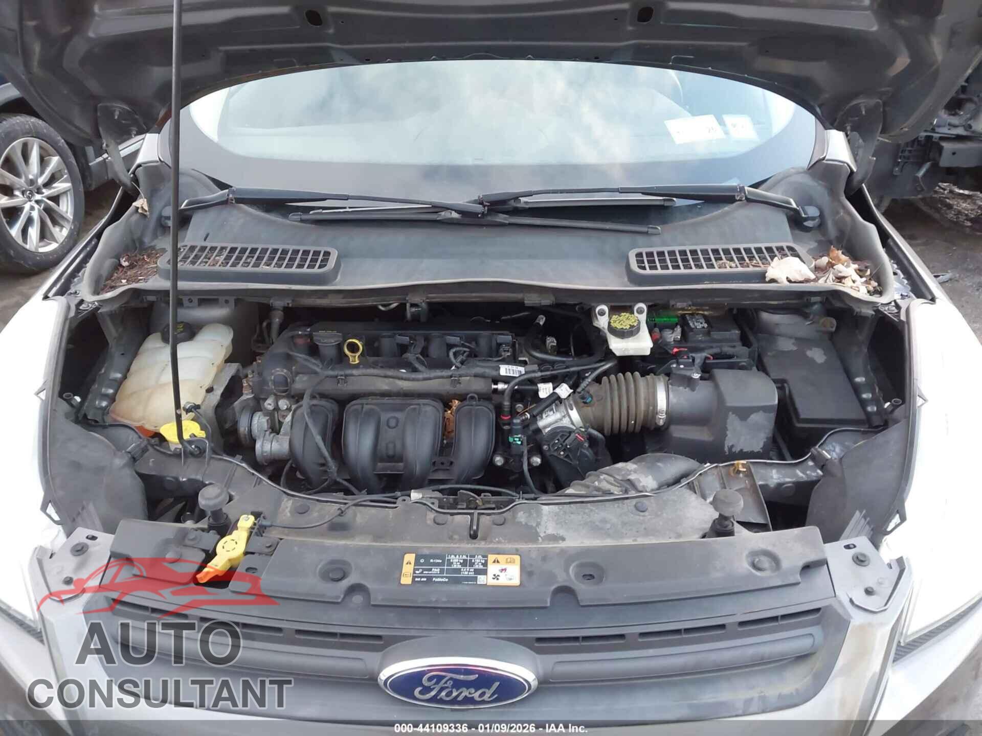 FORD ESCAPE 2014 - 1FMCU0F70EUB04134