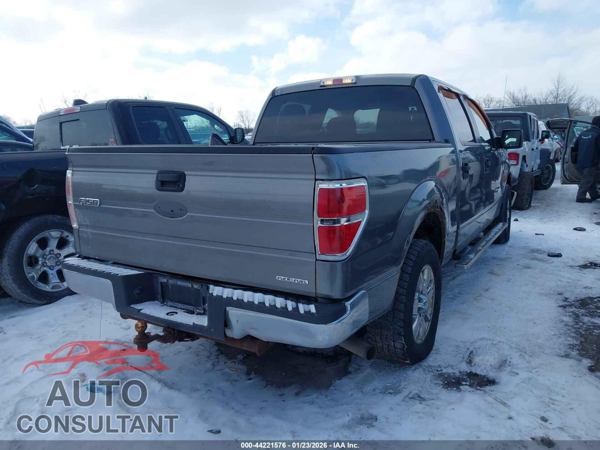 FORD F-150 2011 - 1FTEW1CM4BFA02889