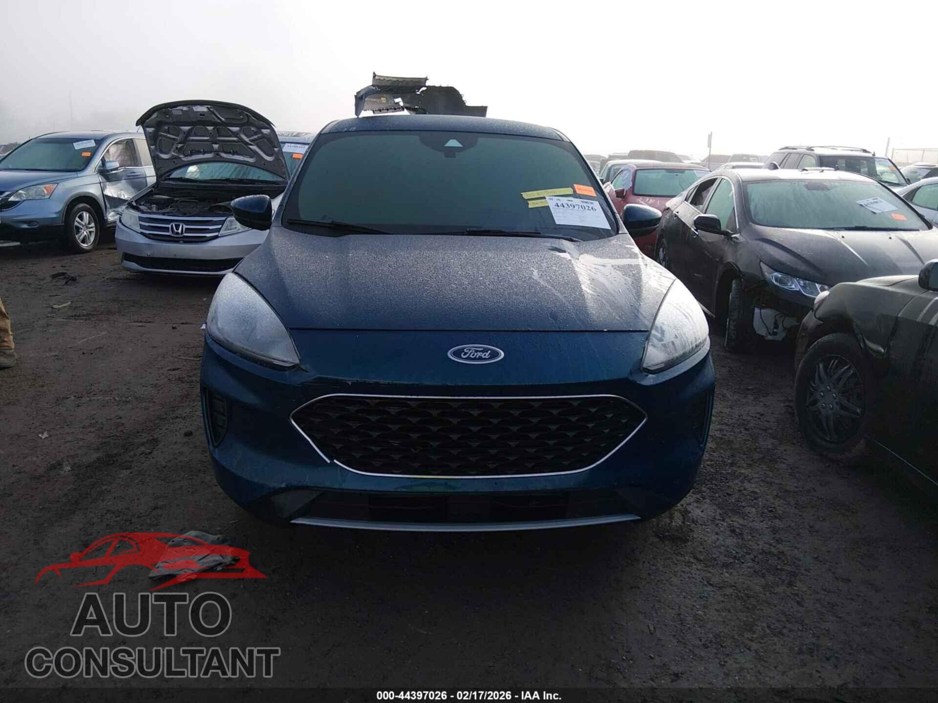 FORD ESCAPE 2020 - 1FMCU0G69LUA99048