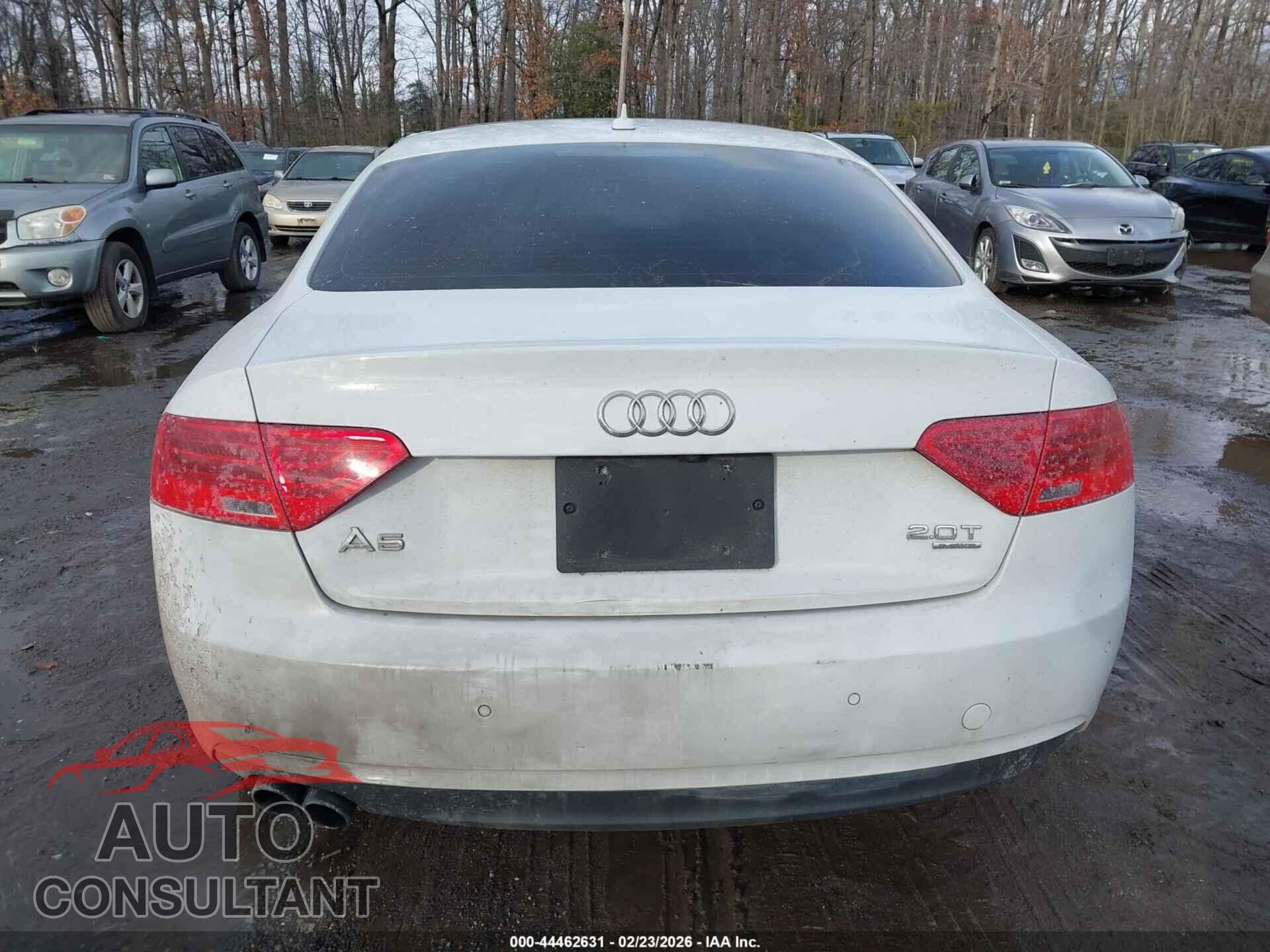 AUDI A5 2014 - WAULFAFR6EA028522