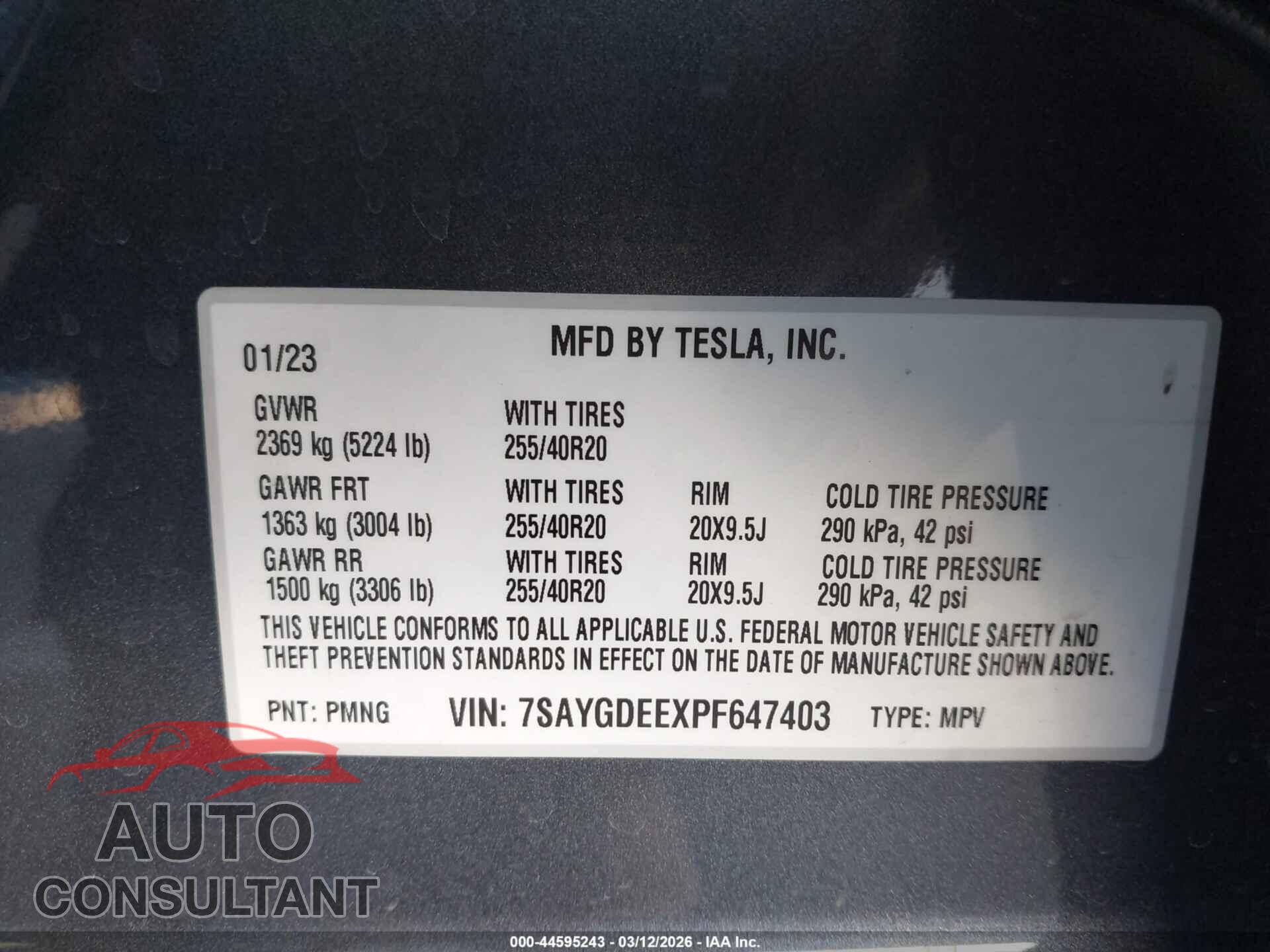 TESLA MODEL Y 2023 - 7SAYGDEEXPF647403