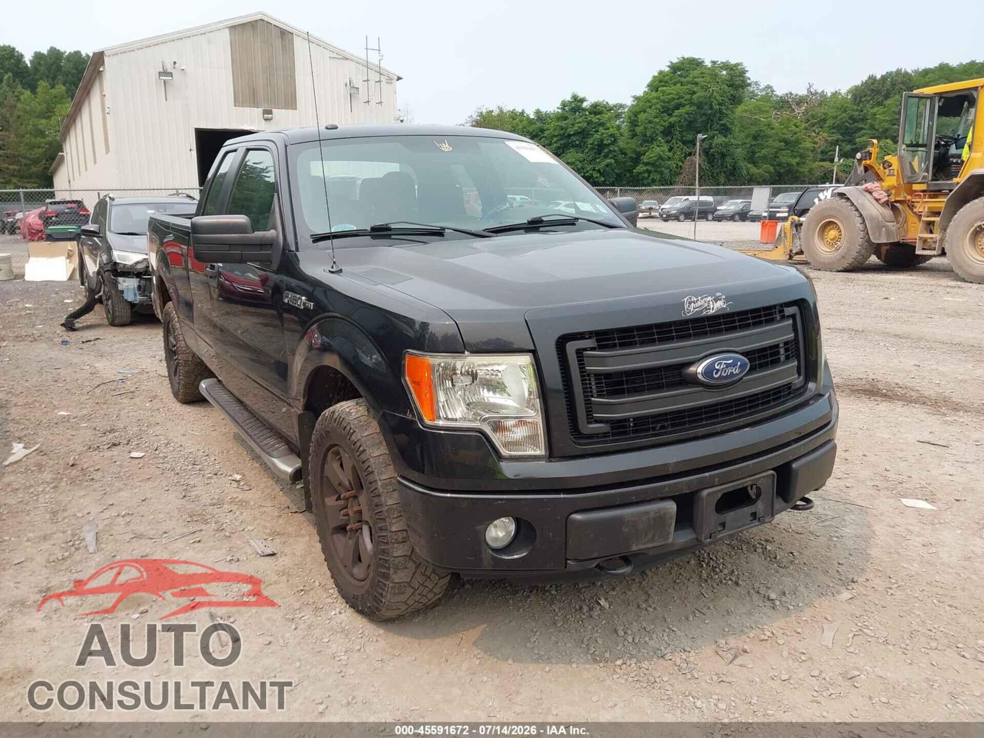 FORD F-150 2013 - 1FTFX1EF8DFD60807