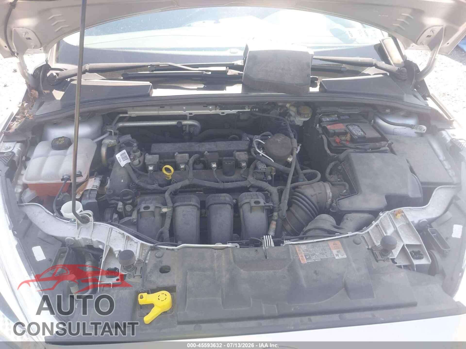 FORD FOCUS 2016 - 1FADP3F24GL292354