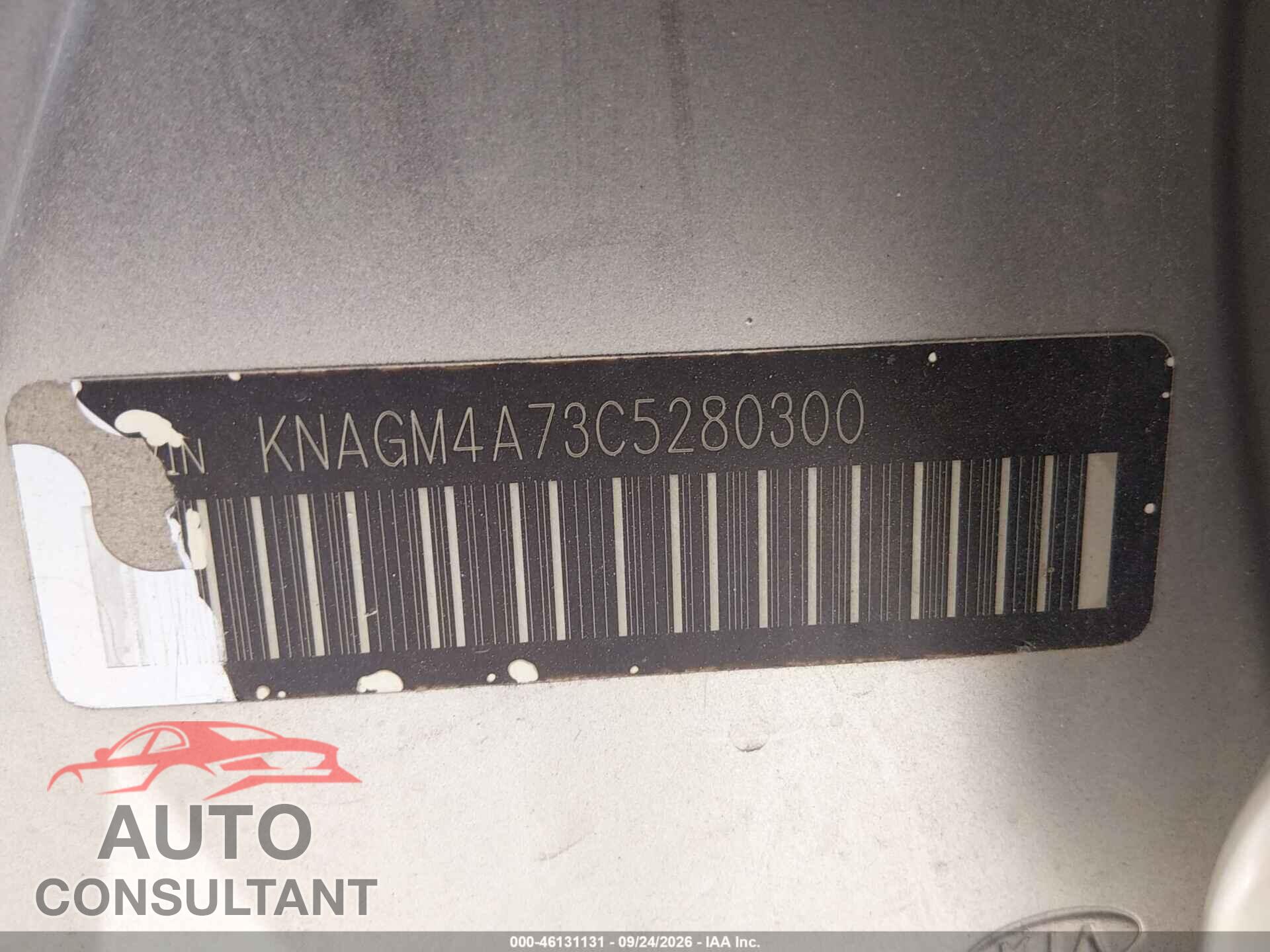KIA OPTIMA 2012 - KNAGM4A73C5280300