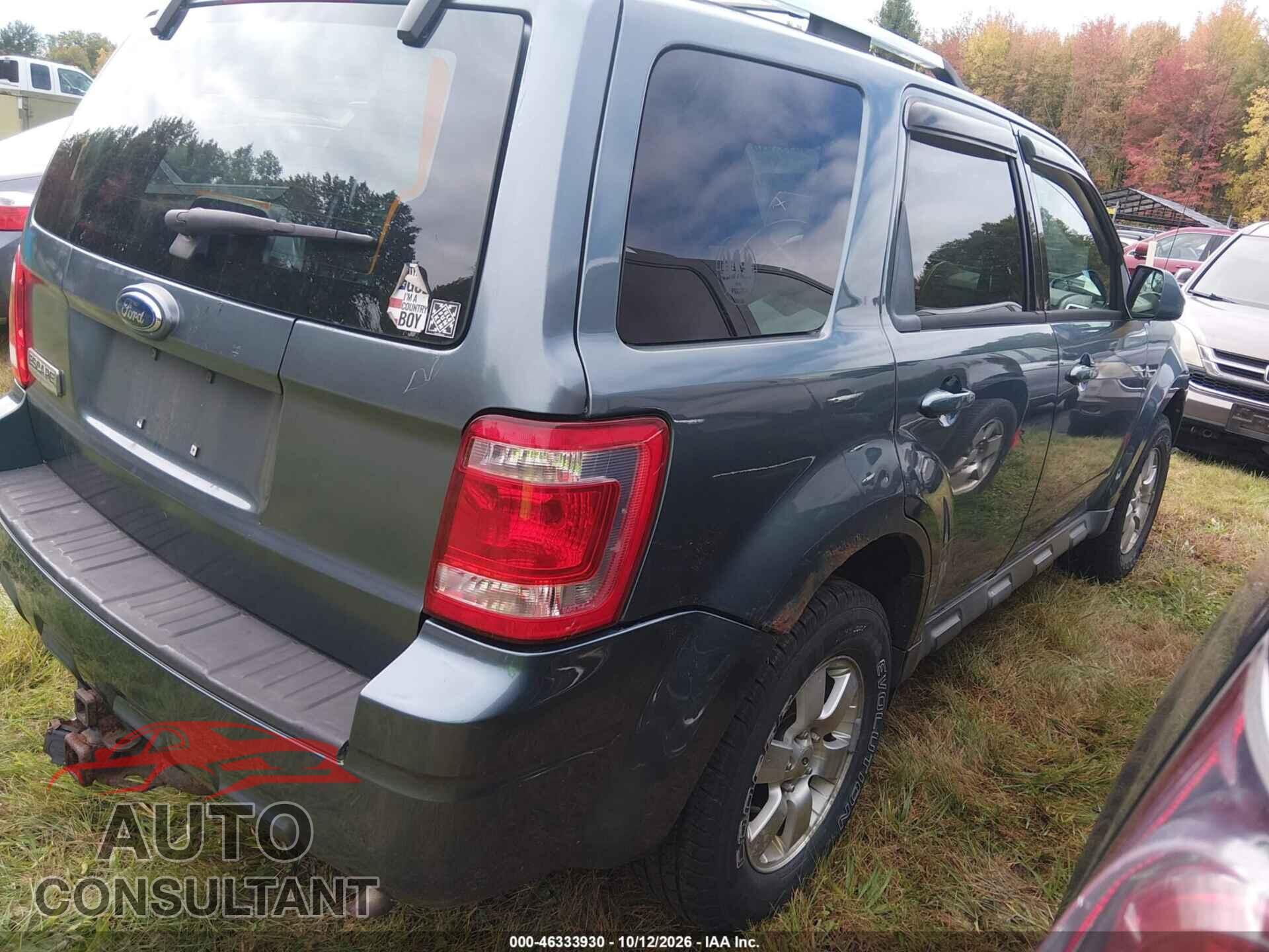 FORD ESCAPE 2010 - 1FMCU9E7XAKD38566