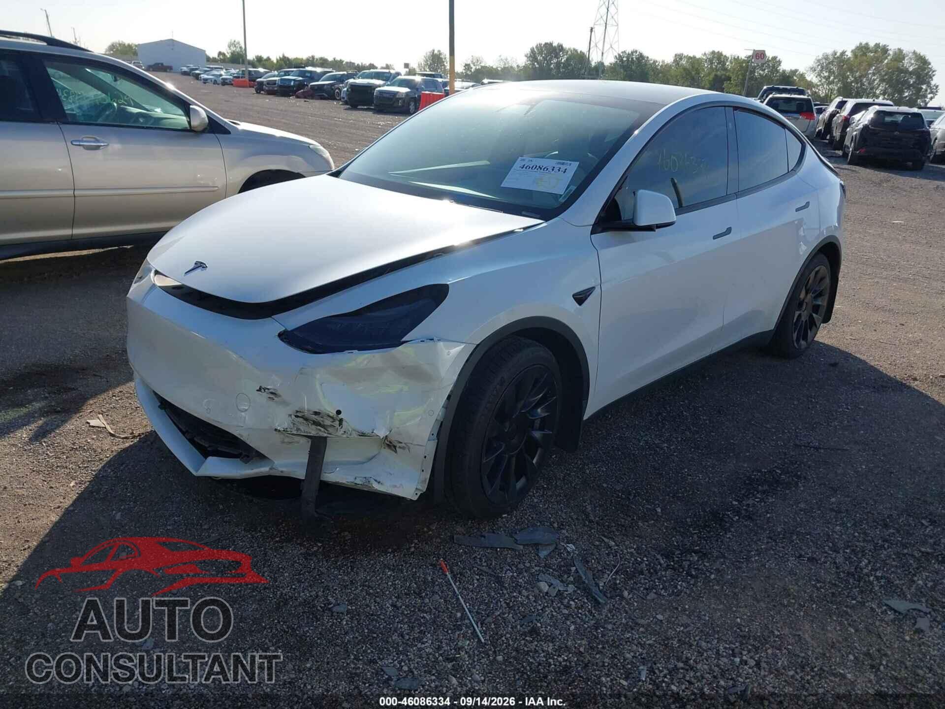 TESLA MODEL Y 2021 - 5YJYGDEE3MF144367