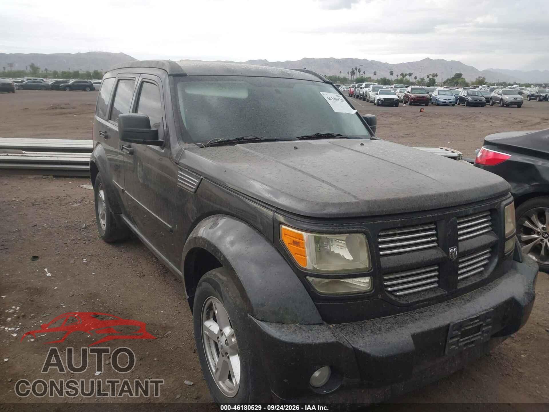 DODGE NITRO 2011 - 1D4PT5GK7BW573975