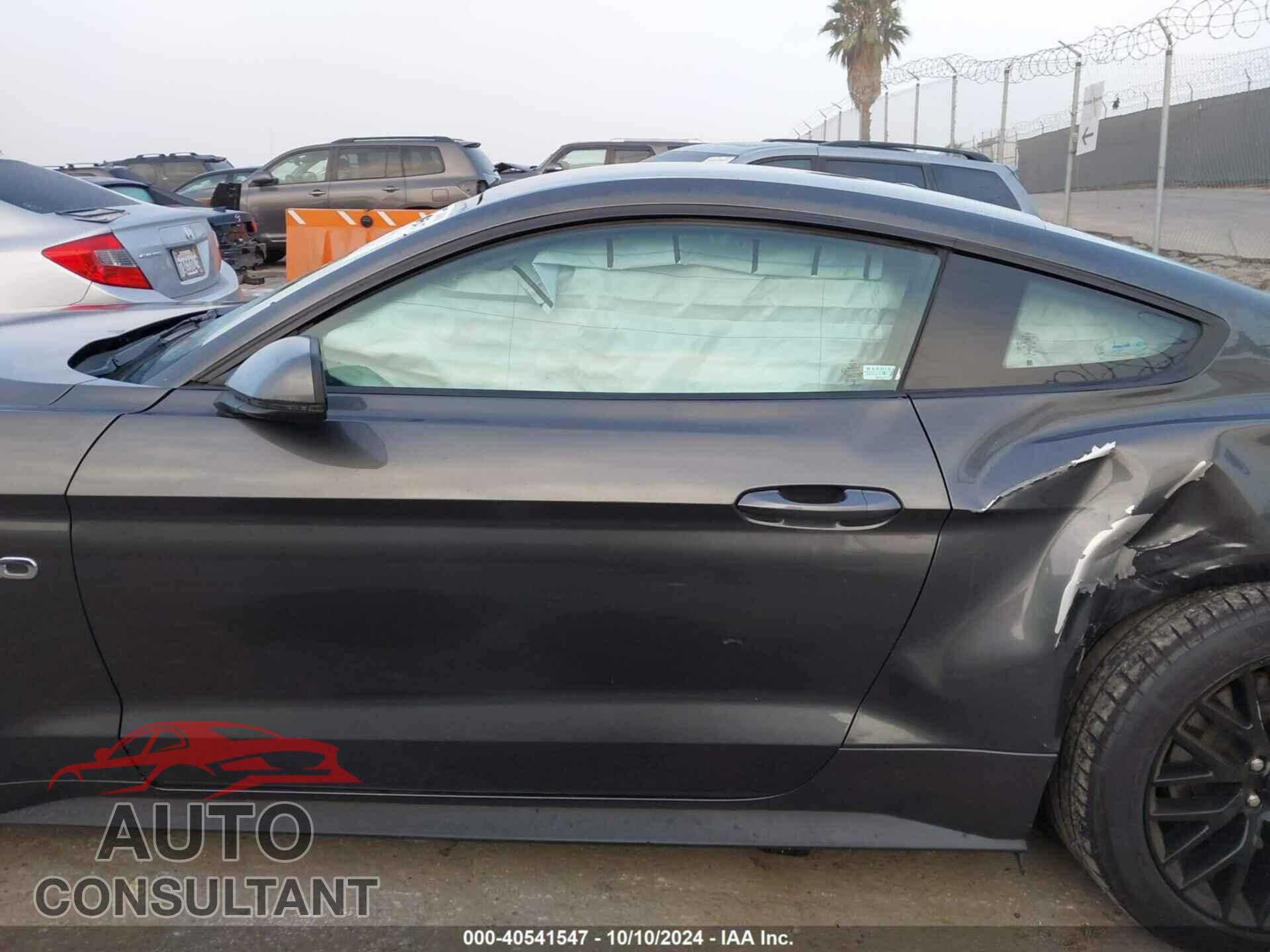FORD MUSTANG 2019 - 1FA6P8CF6K5158214