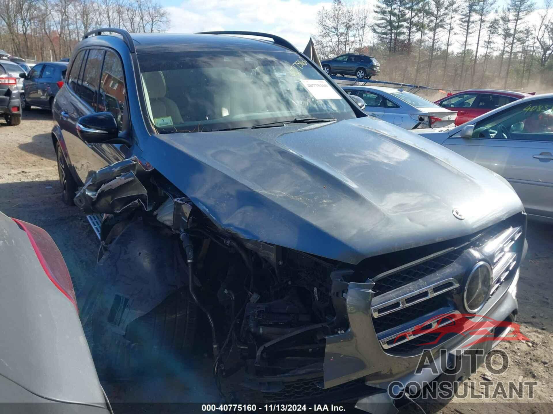 MERCEDES-BENZ GLS 580 2020 - 4JGFF8GE2LA293483