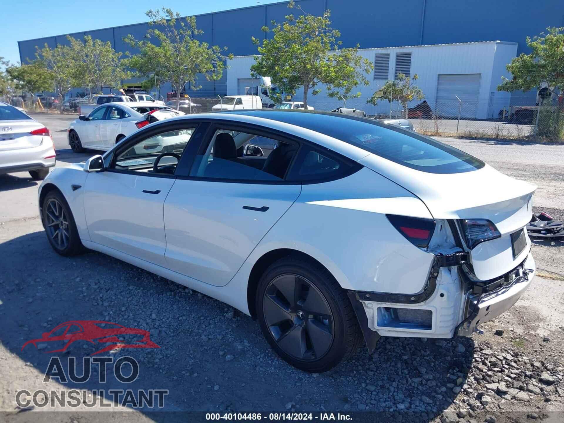 TESLA MODEL 3 2021 - 5YJ3E1EA9MF939581