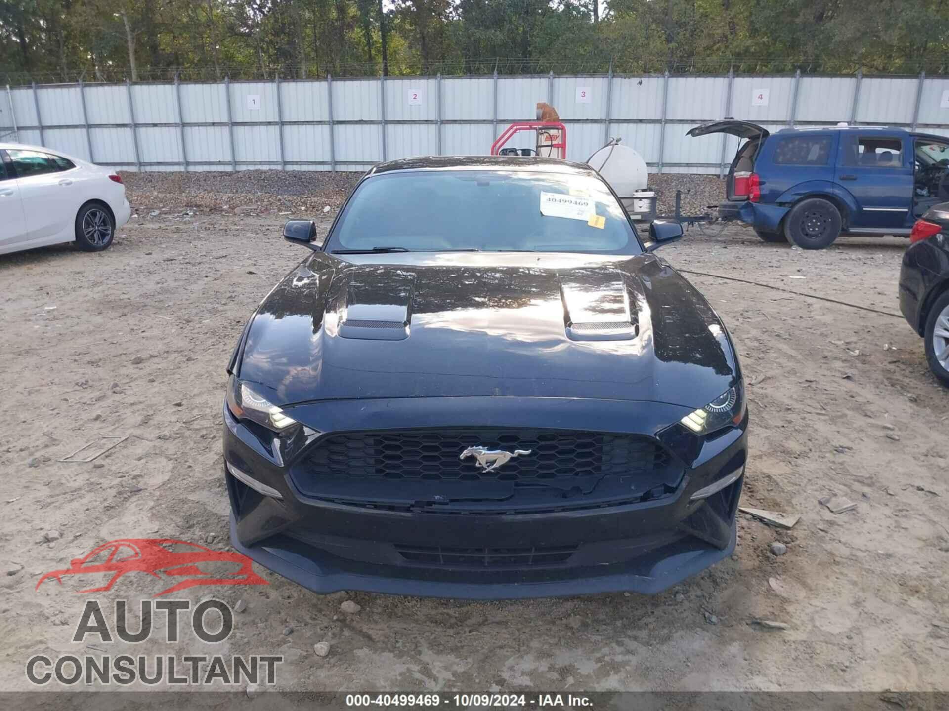 FORD MUSTANG 2019 - 1FA6P8TH3K5199529