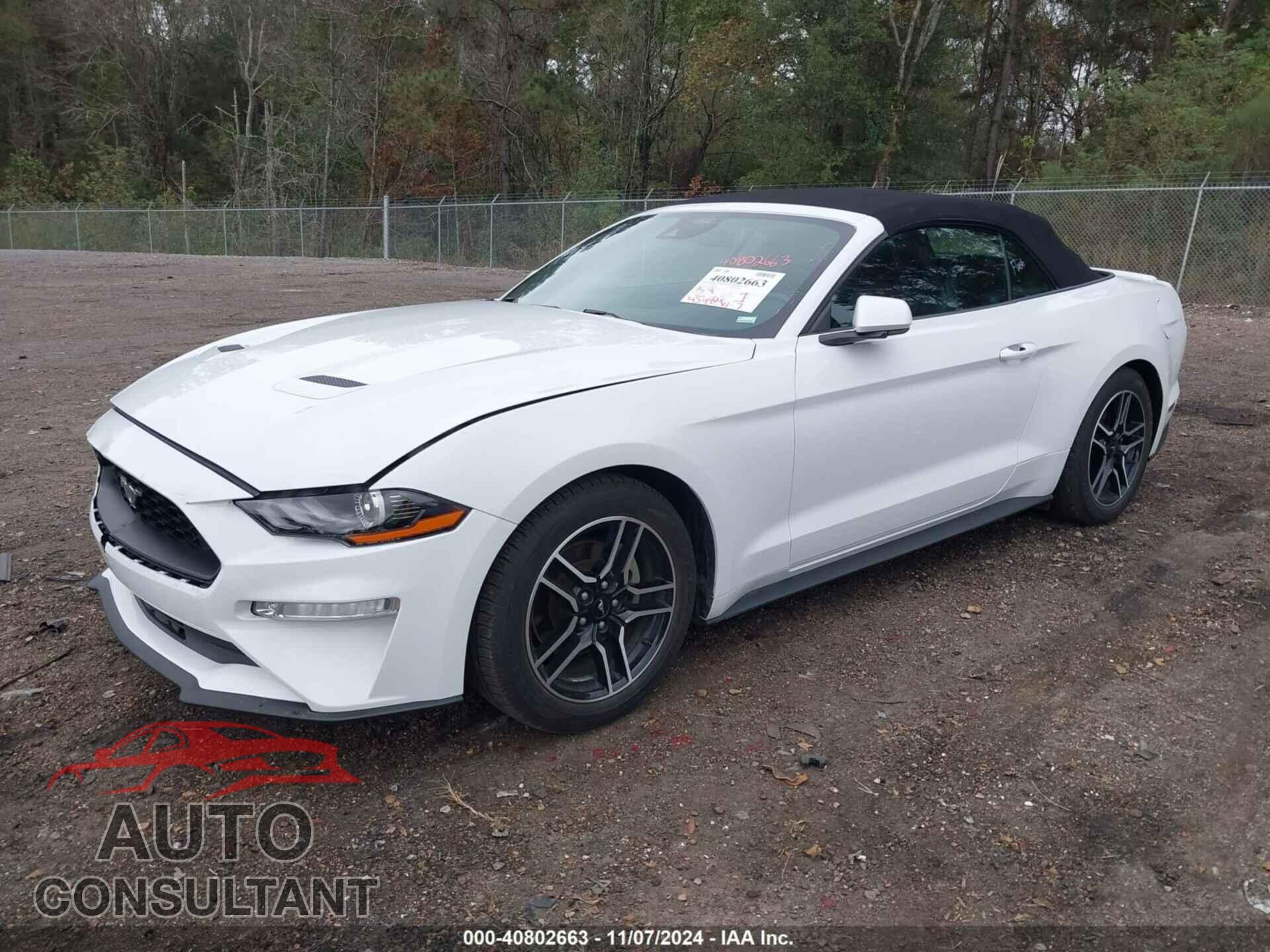 FORD MUSTANG 2021 - 1FATP8UH4M5132006