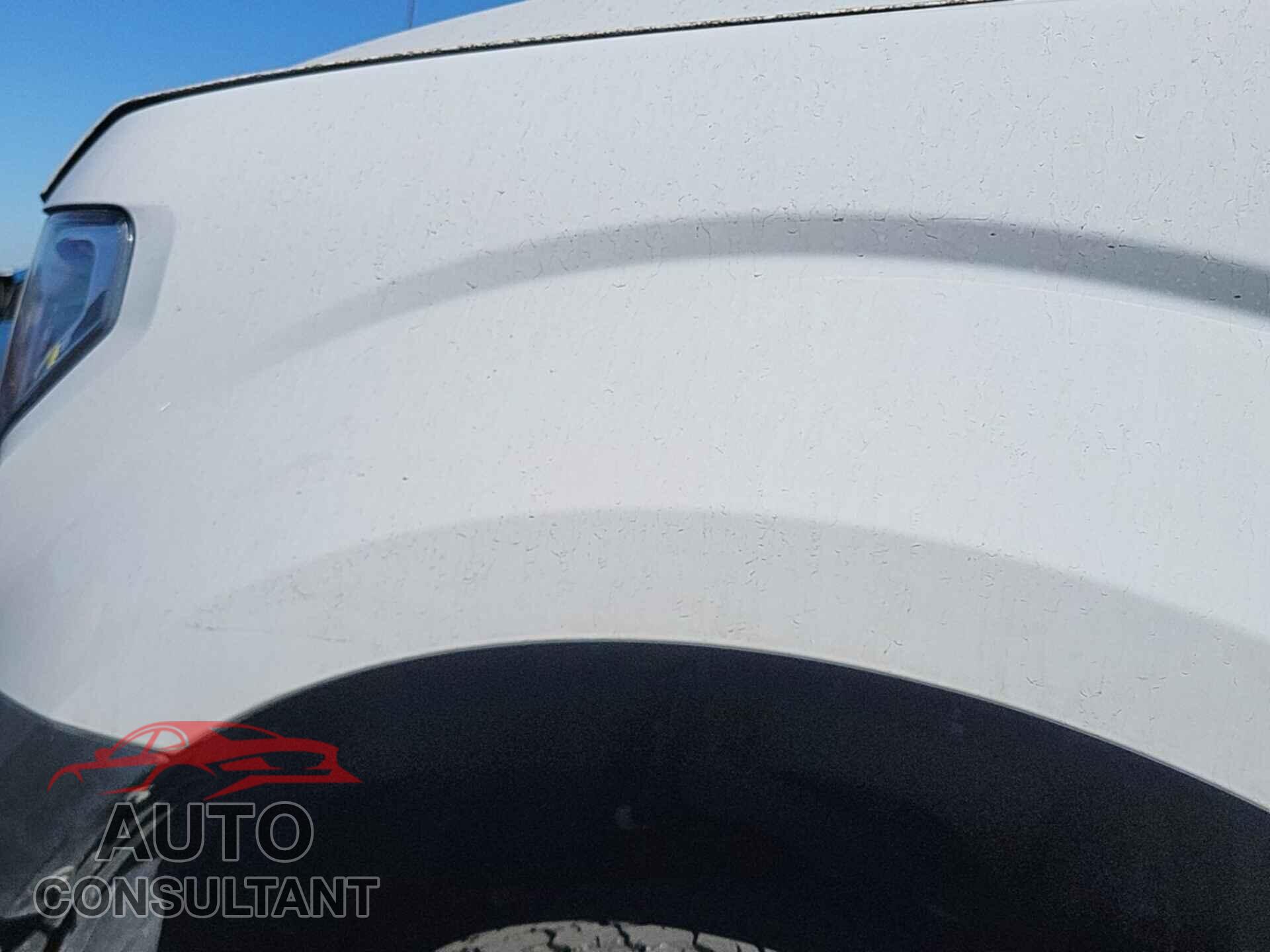 FORD F150 2019 - 1FTMF1CB1KKE70998