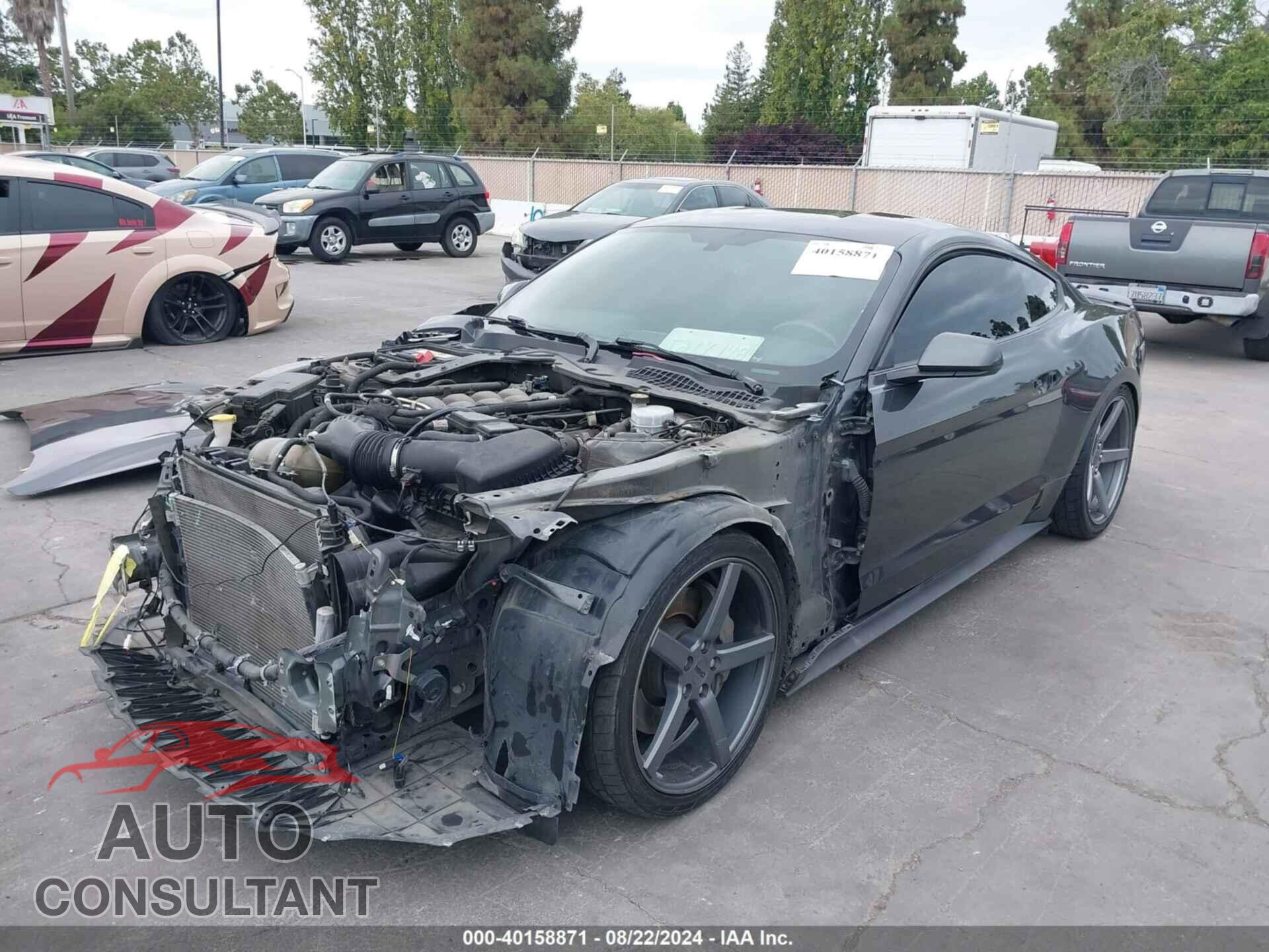 FORD MUSTANG 2019 - 1FA6P8CF6K5169505