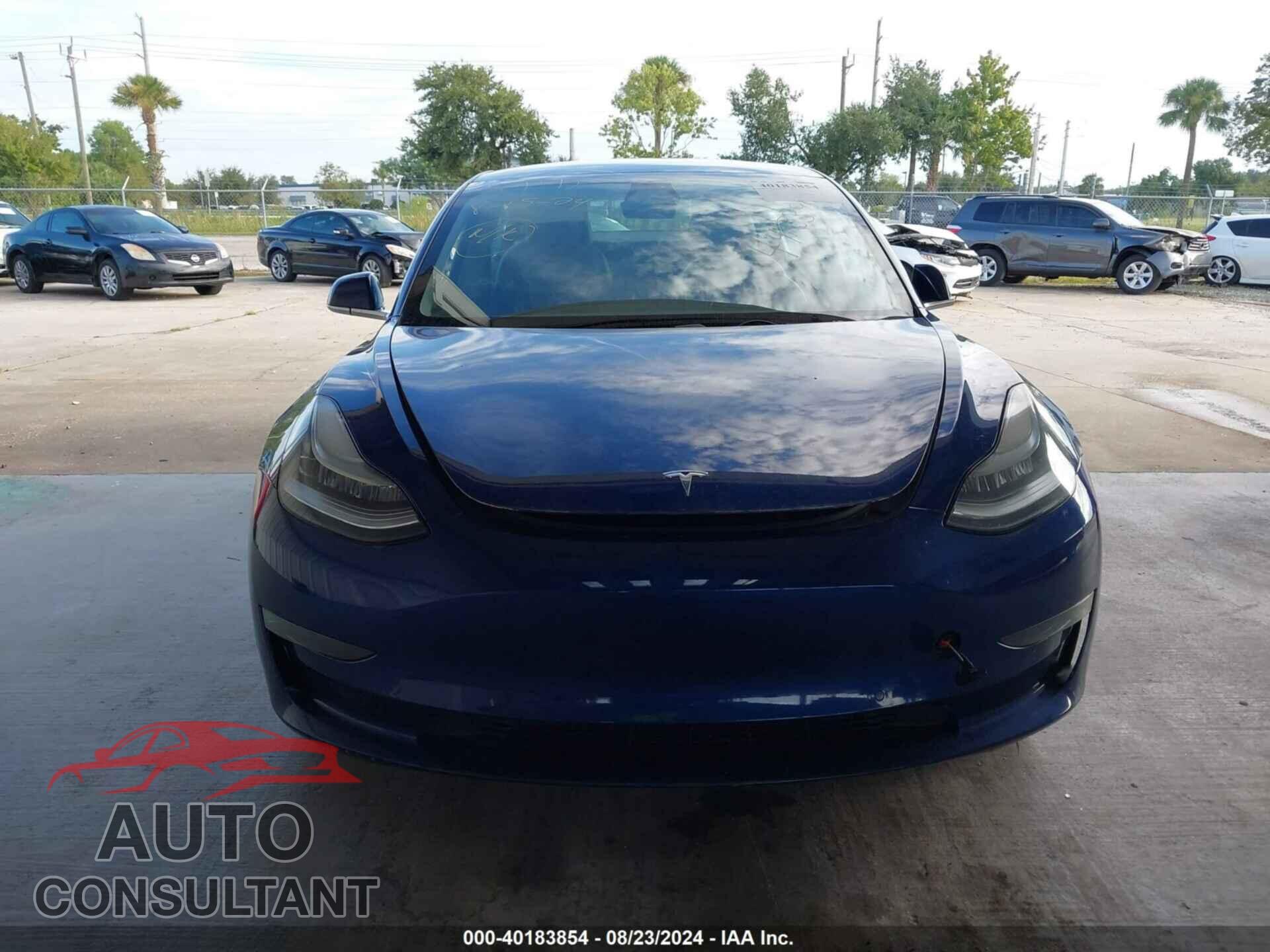 TESLA MODEL 3 2019 - 5YJ3E1EA3KF441339