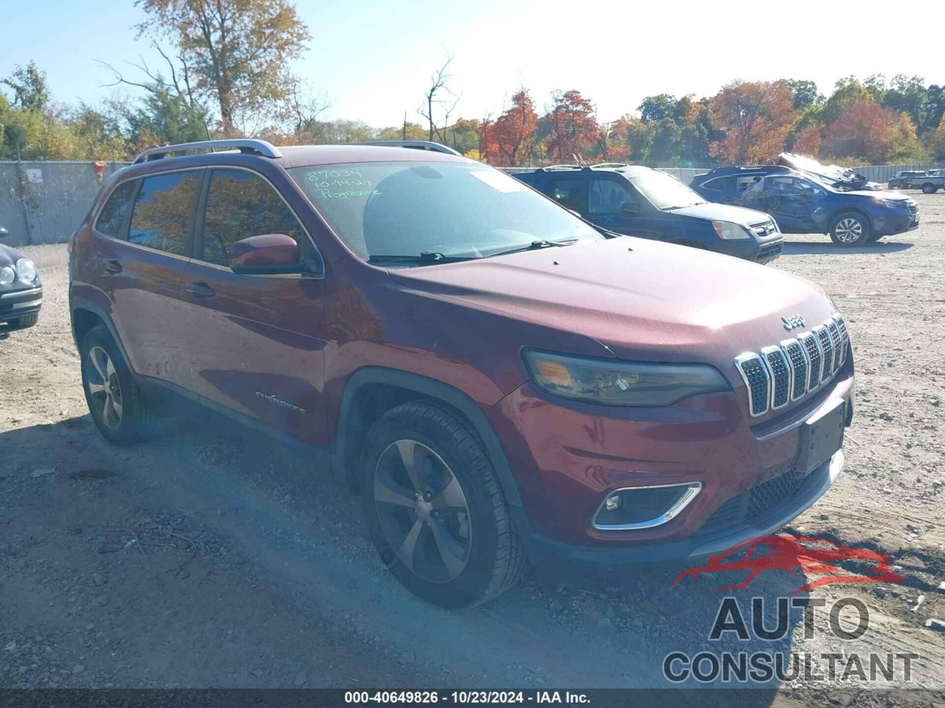 JEEP CHEROKEE 2019 - 1C4PJMDX7KD161726