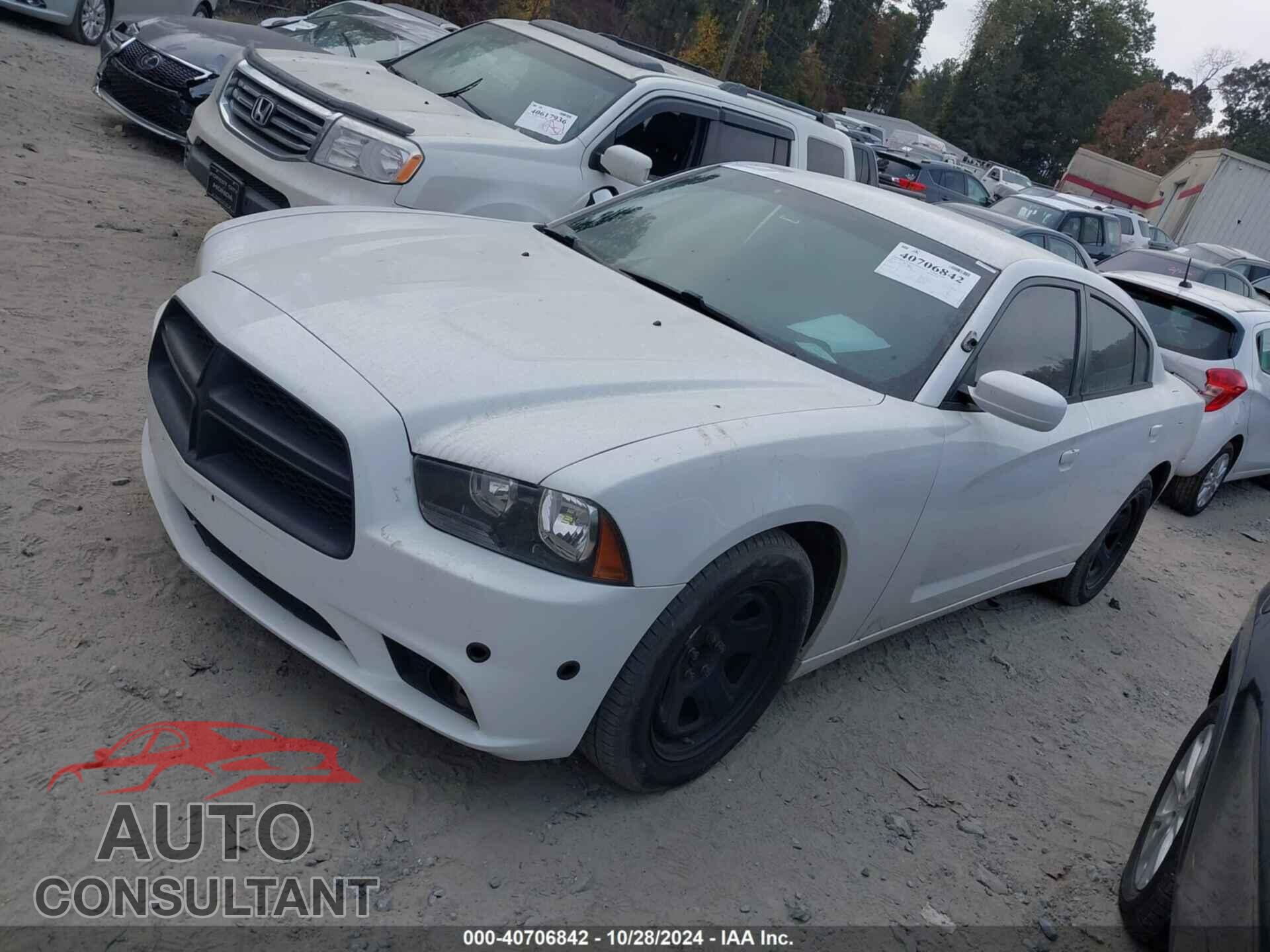 DODGE CHARGER 2014 - 2C3CDXAT7EH126088