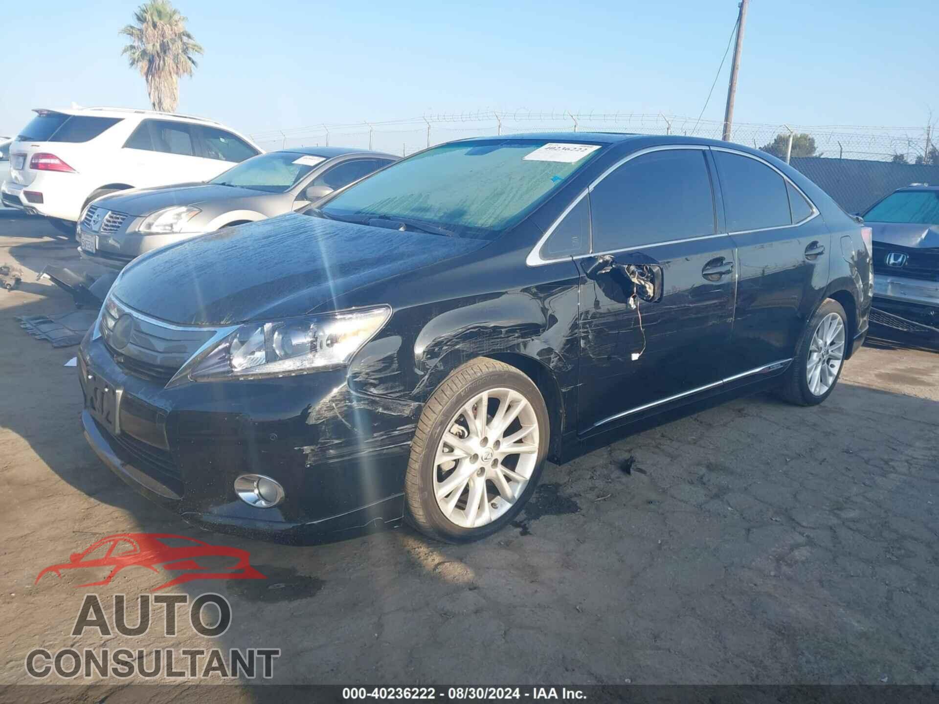 LEXUS HS 250H 2010 - JTHBB1BA6A2014732