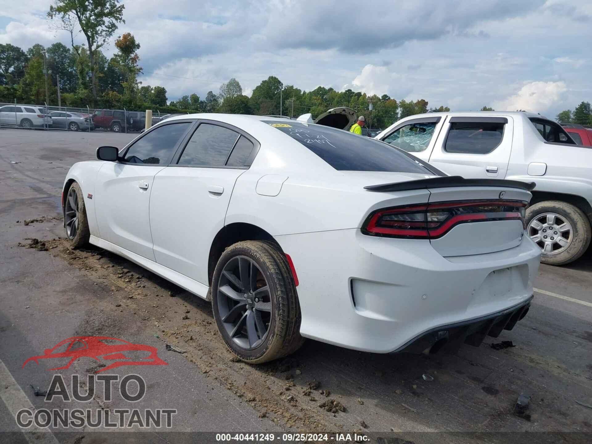 DODGE CHARGER 2019 - 2C3CDXGJ1KH665985
