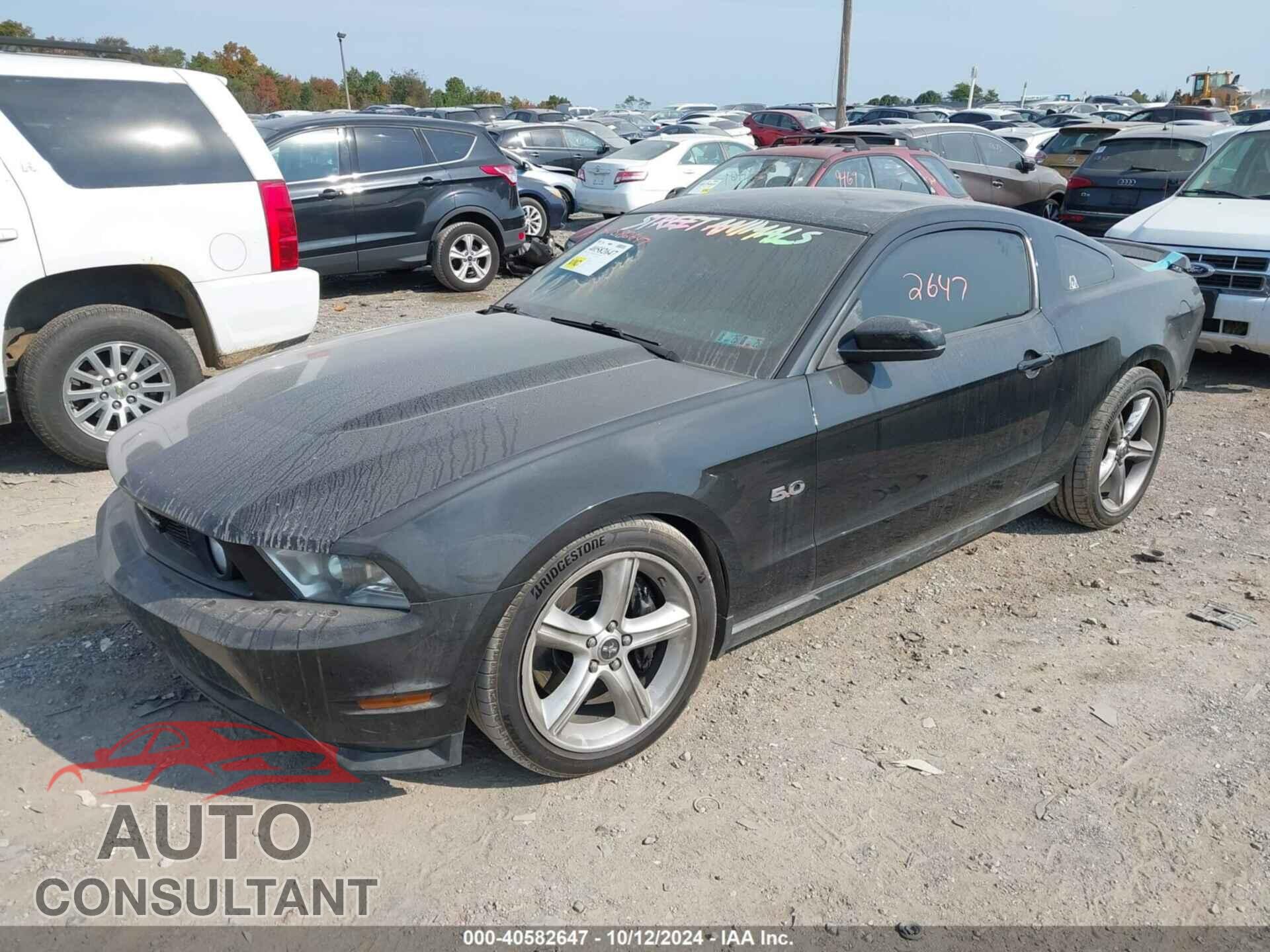 FORD MUSTANG 2011 - 1ZVBP8CF4B5168018