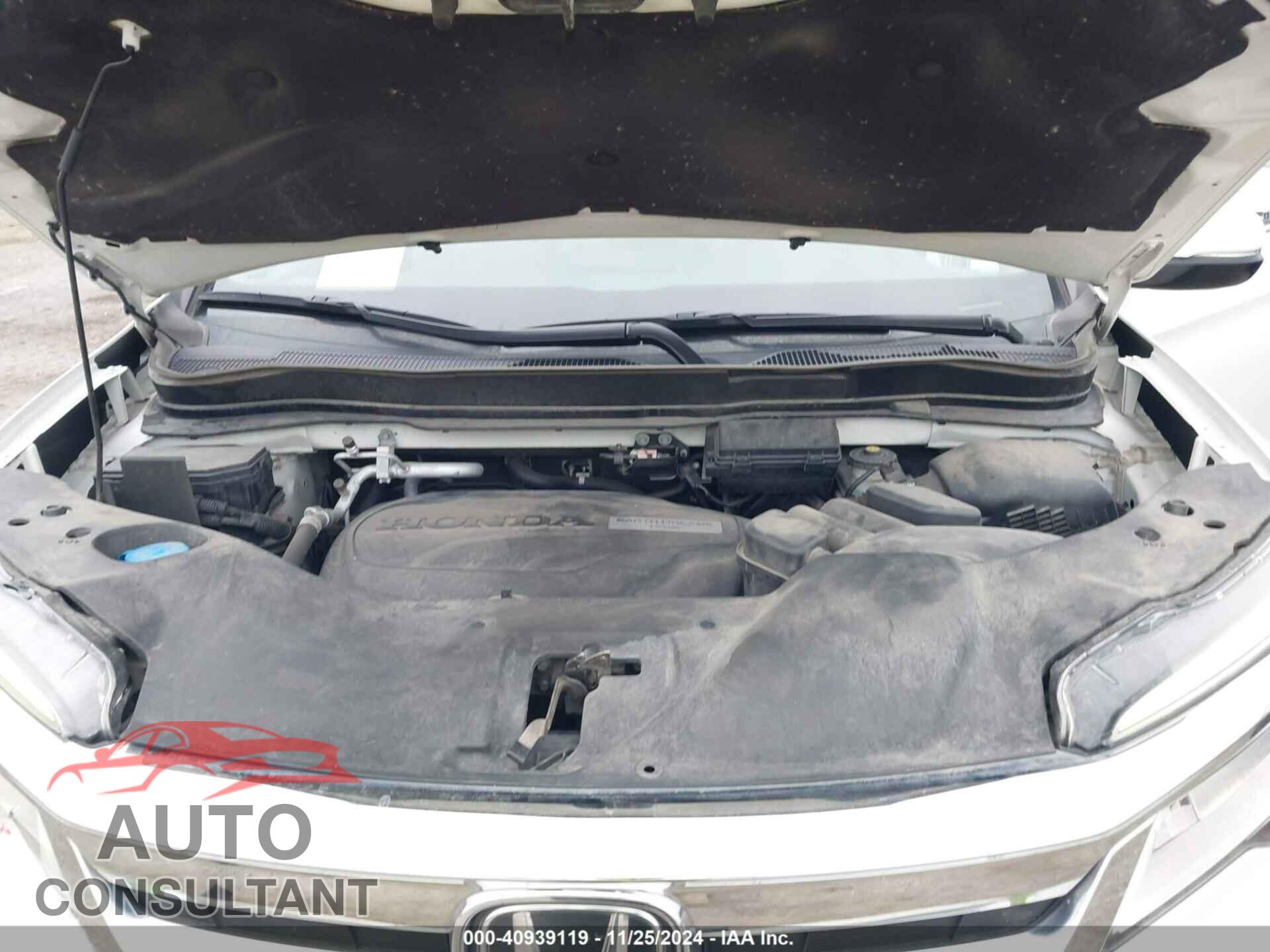 HONDA PILOT 2019 - 5FNYF6H09KB026688
