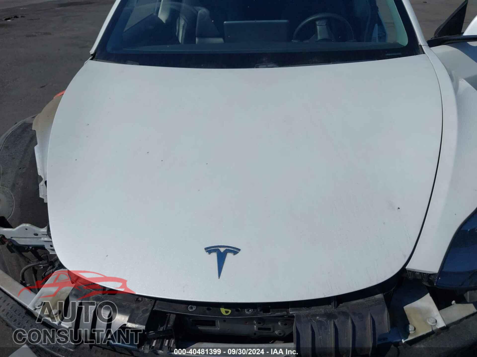 TESLA MODEL 3 2021 - 5YJ3E1EA1MF003423