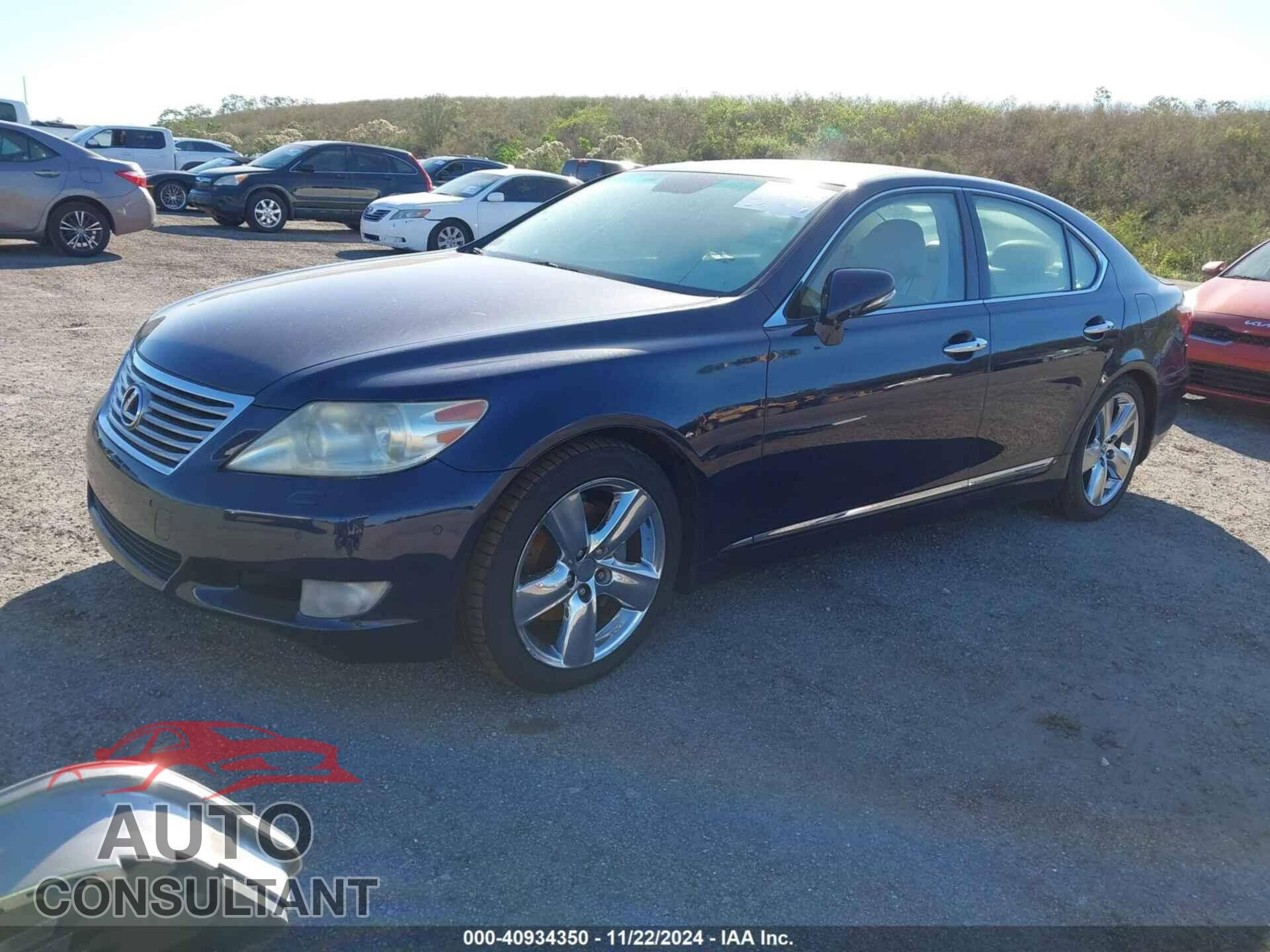 LEXUS LS 460 2010 - JTHBL5EF6A5098061