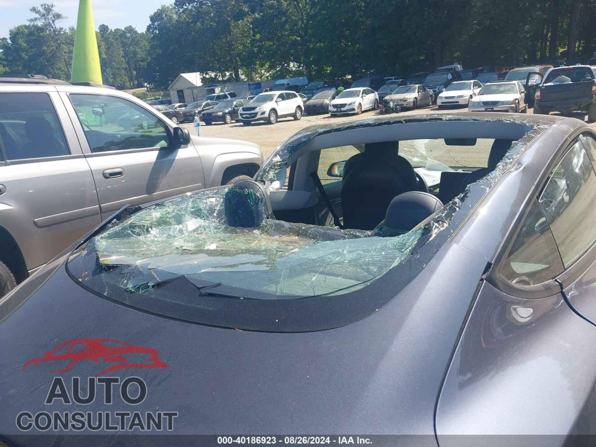 TESLA MODEL 3 2021 - 5YJ3E1EA3MF857605