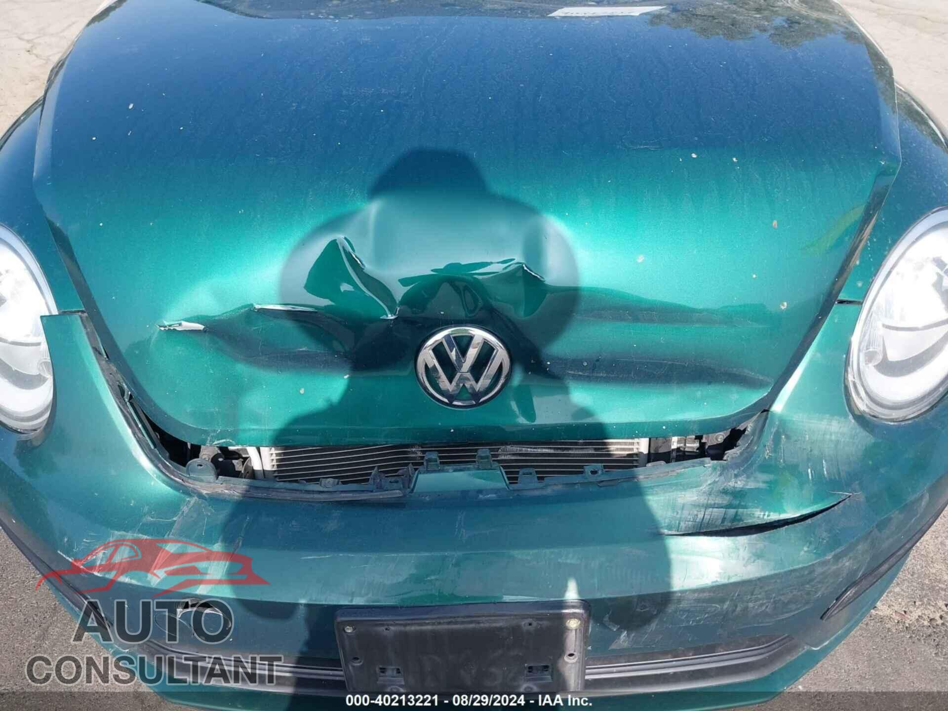 VOLKSWAGEN BEETLE 2017 - 3VWF17AT7HM630645