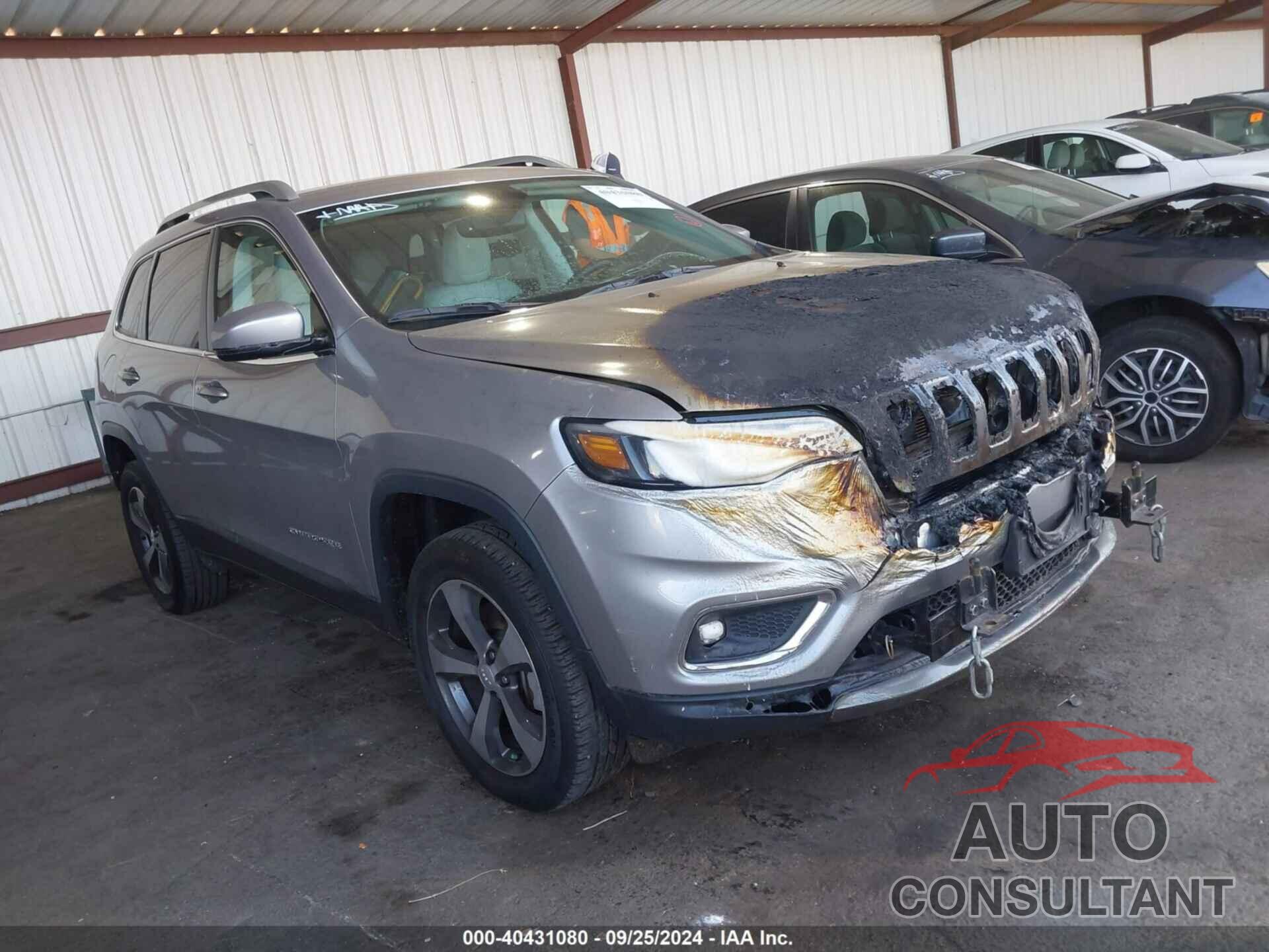 JEEP CHEROKEE 2019 - 1C4PJMDN5KD291776