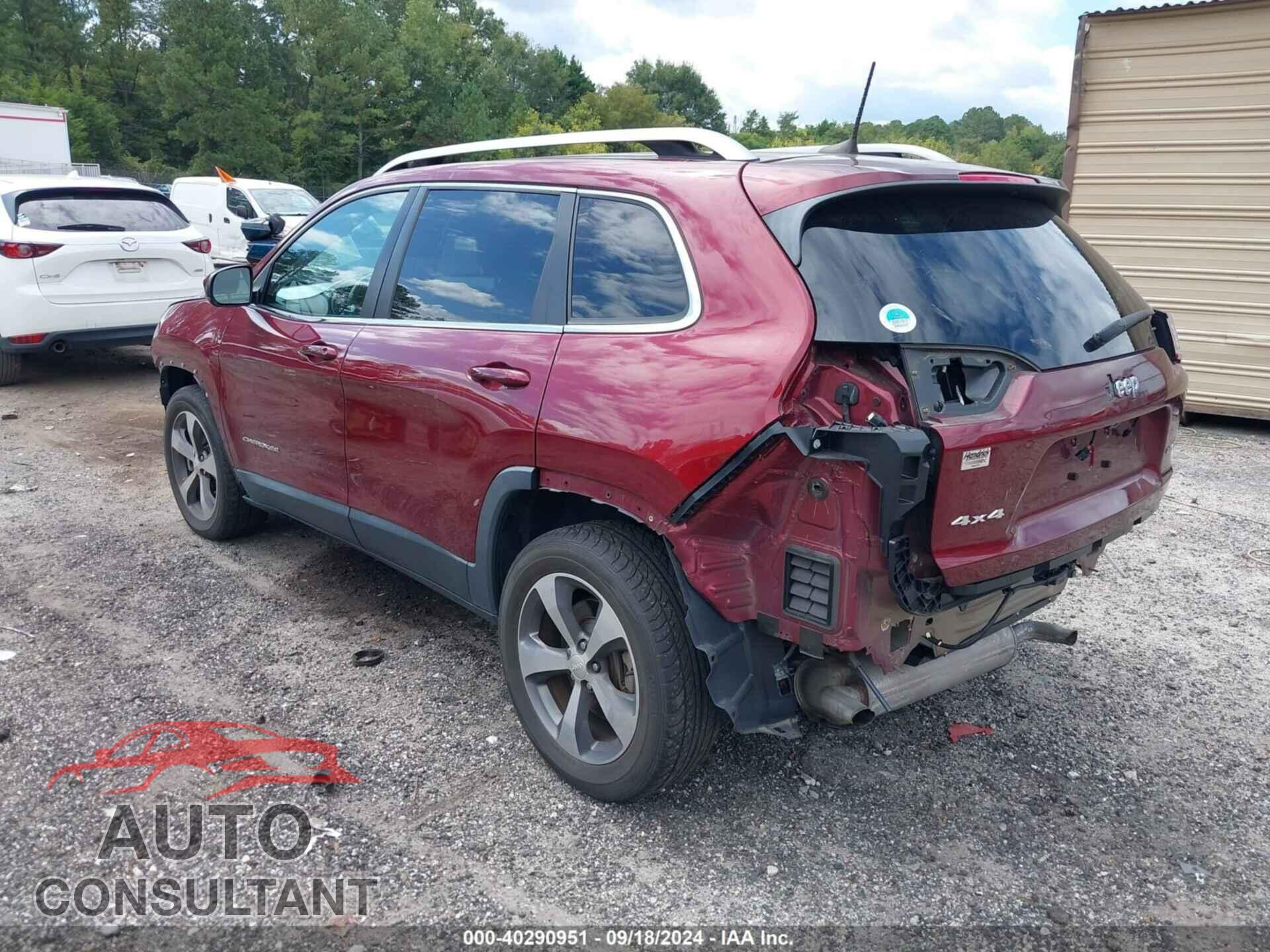 JEEP CHEROKEE 2019 - 1C4PJMDX2KD133297