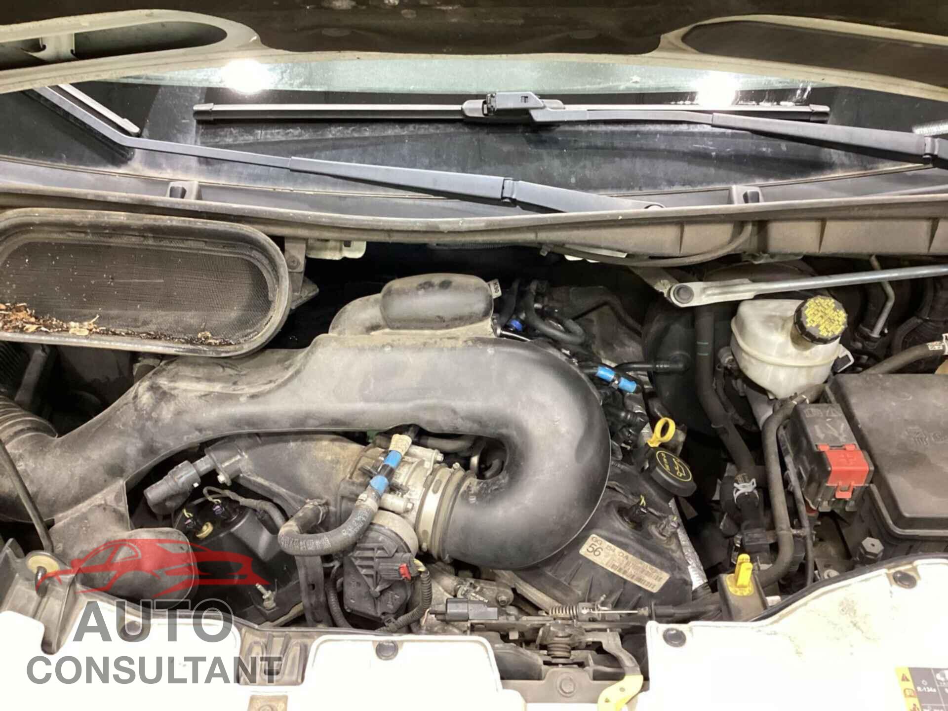 FORD TRANSIT 2018 - 1FTYE1YM1JKB51999