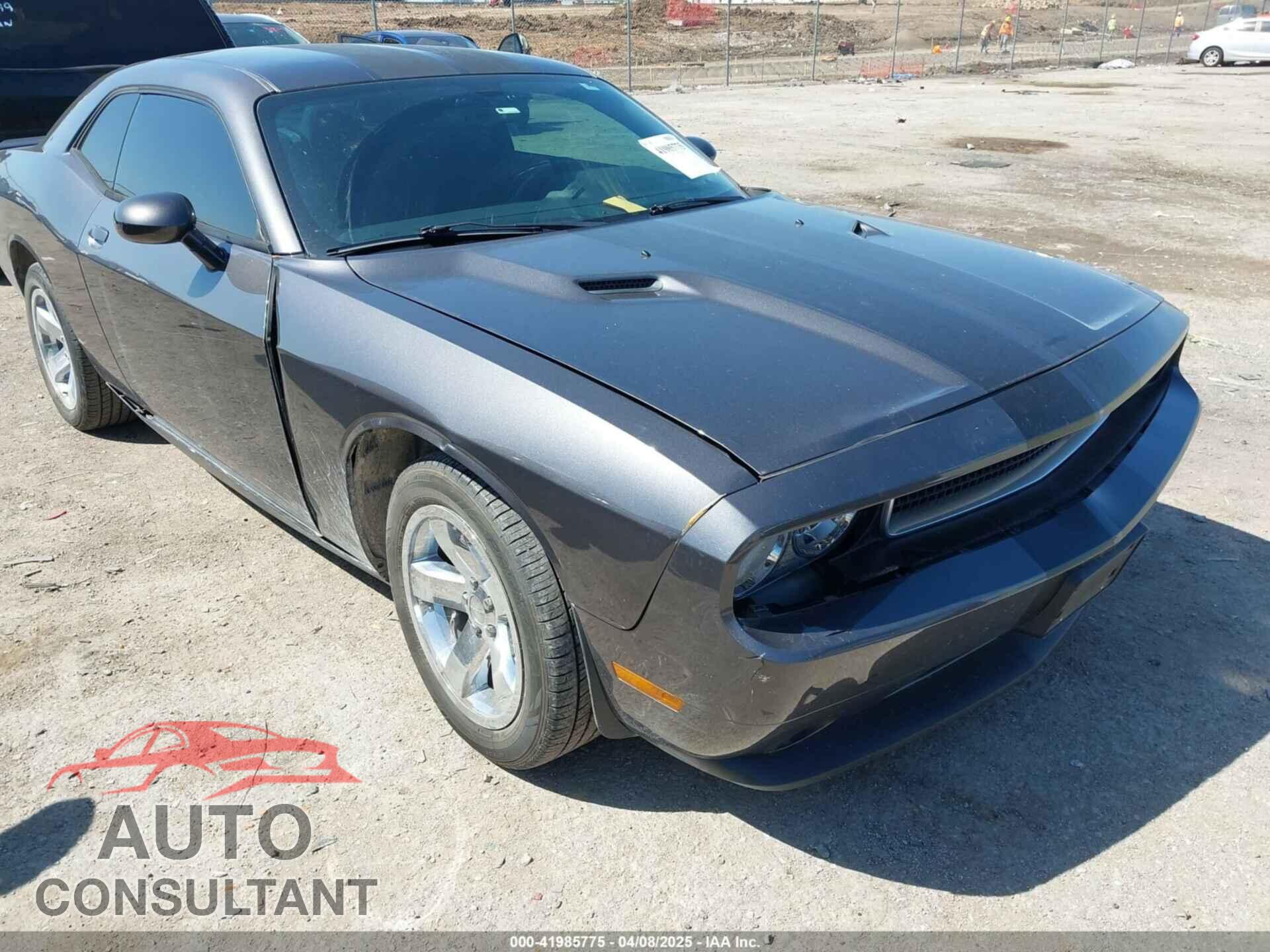 DODGE CHALLENGER 2013 - 2C3CDYAG9DH724917
