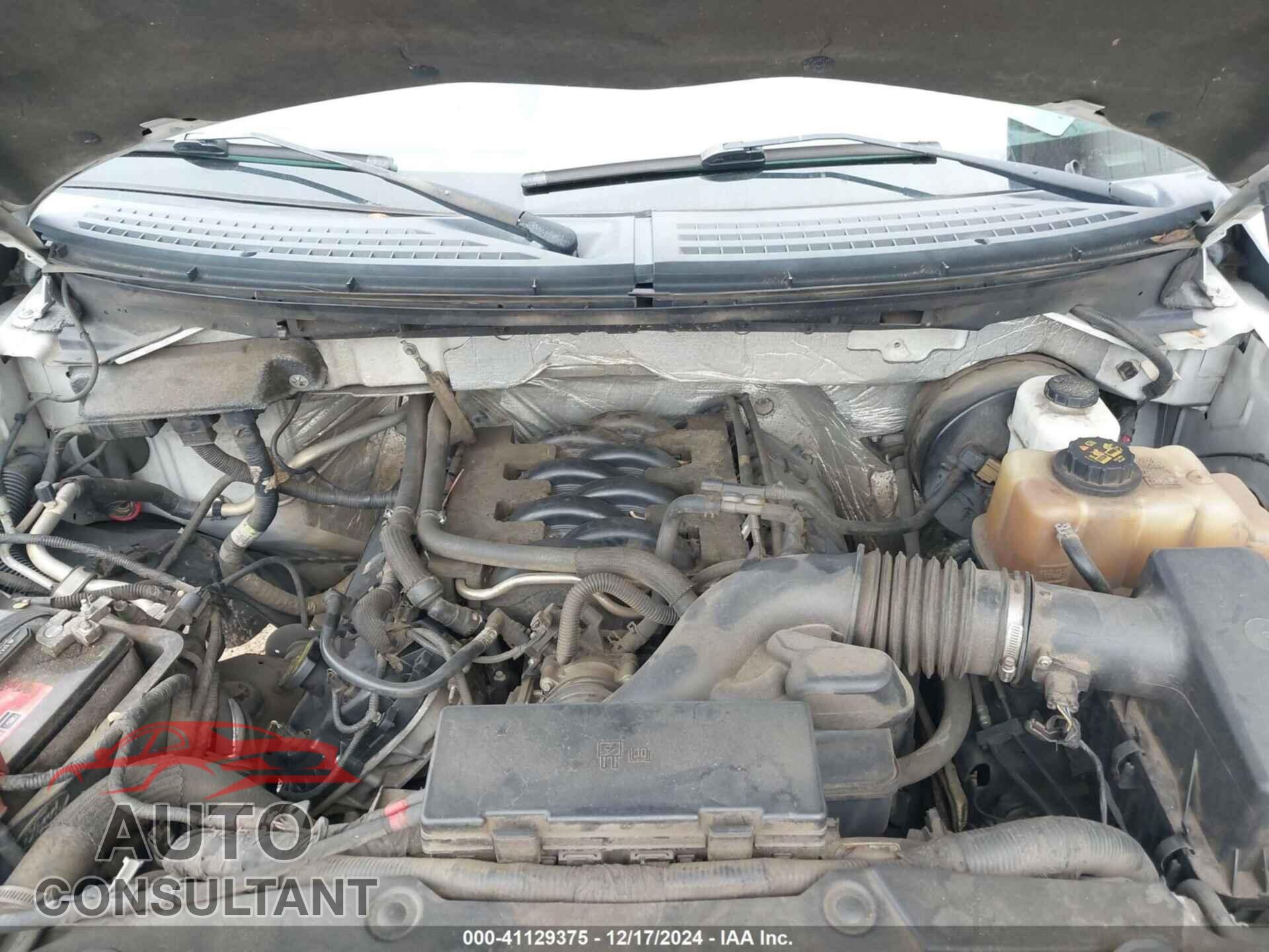 FORD F-150 2011 - 1FTFW1CF1BFC06183