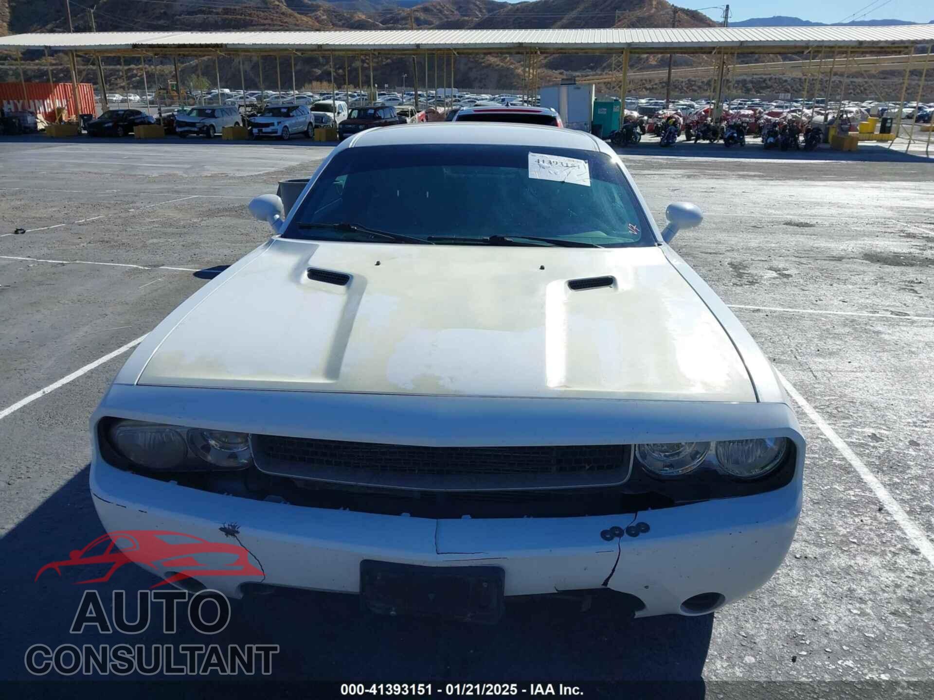 DODGE CHALLENGER 2013 - 2C3CDYAG6DH663090