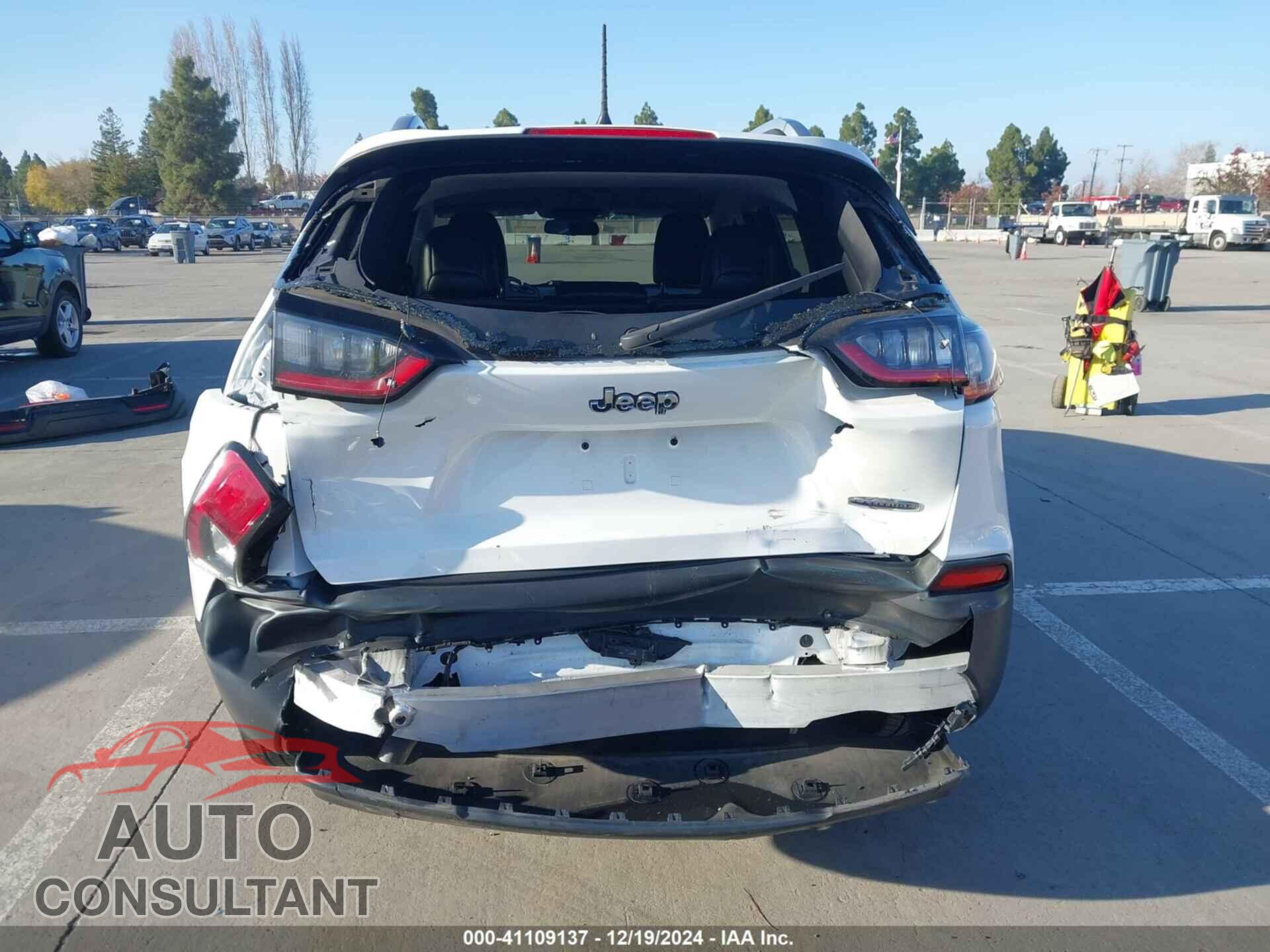 JEEP CHEROKEE 2019 - 1C4PJLLB4KD240528