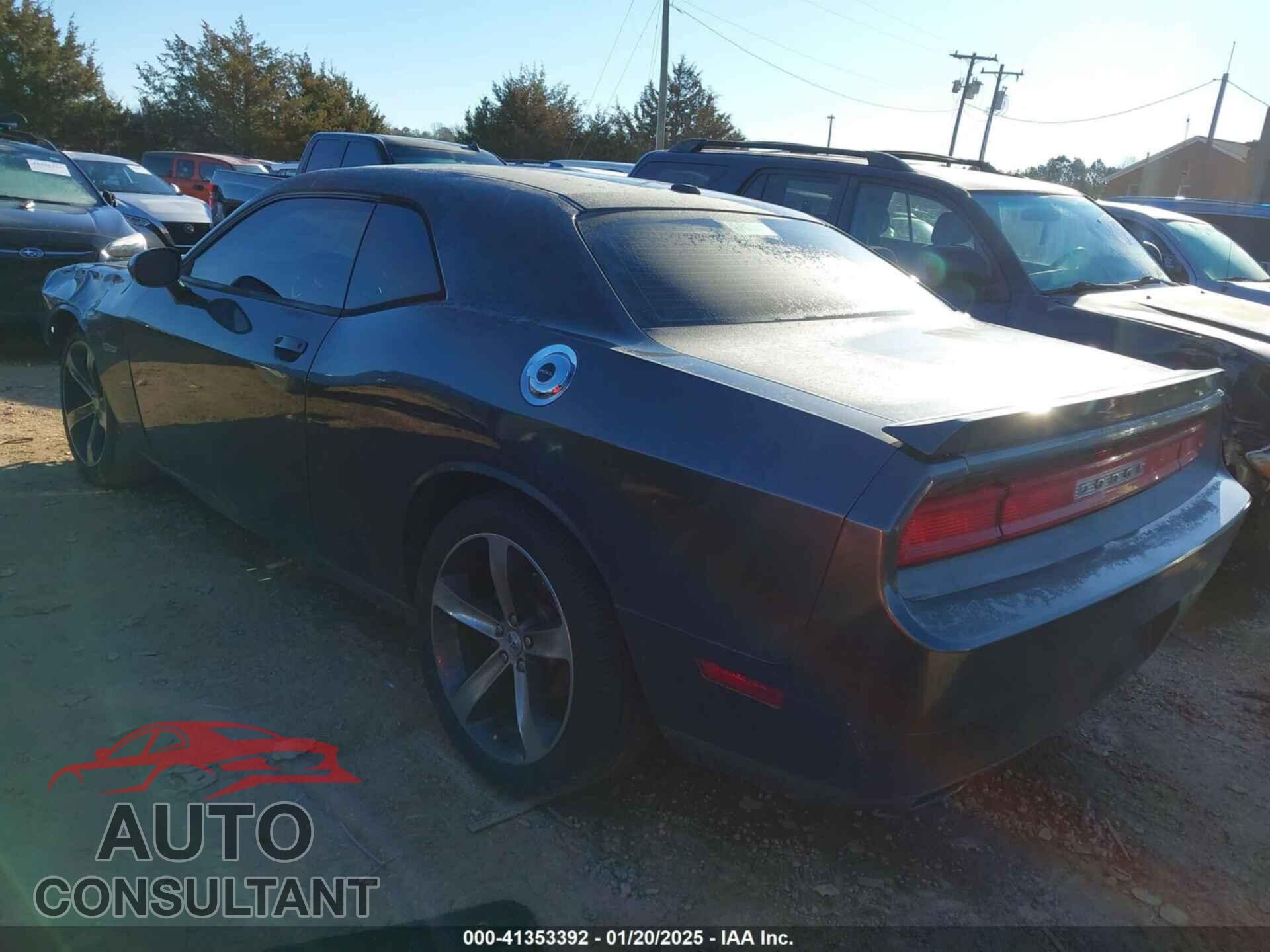 DODGE CHALLENGER 2014 - 2C3CDYBT2EH247051