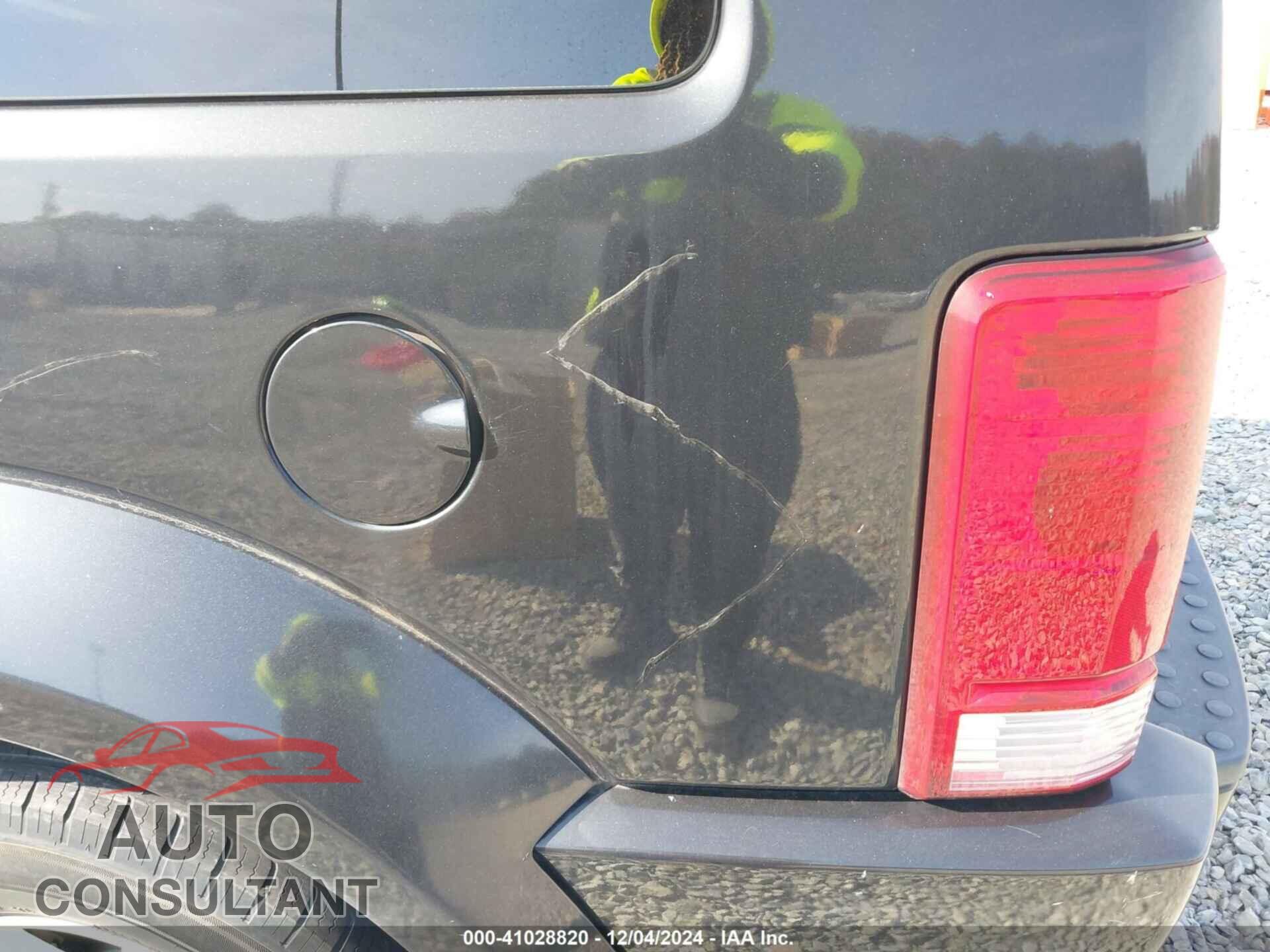 DODGE NITRO 2010 - 1D4PT2GK2AW134664