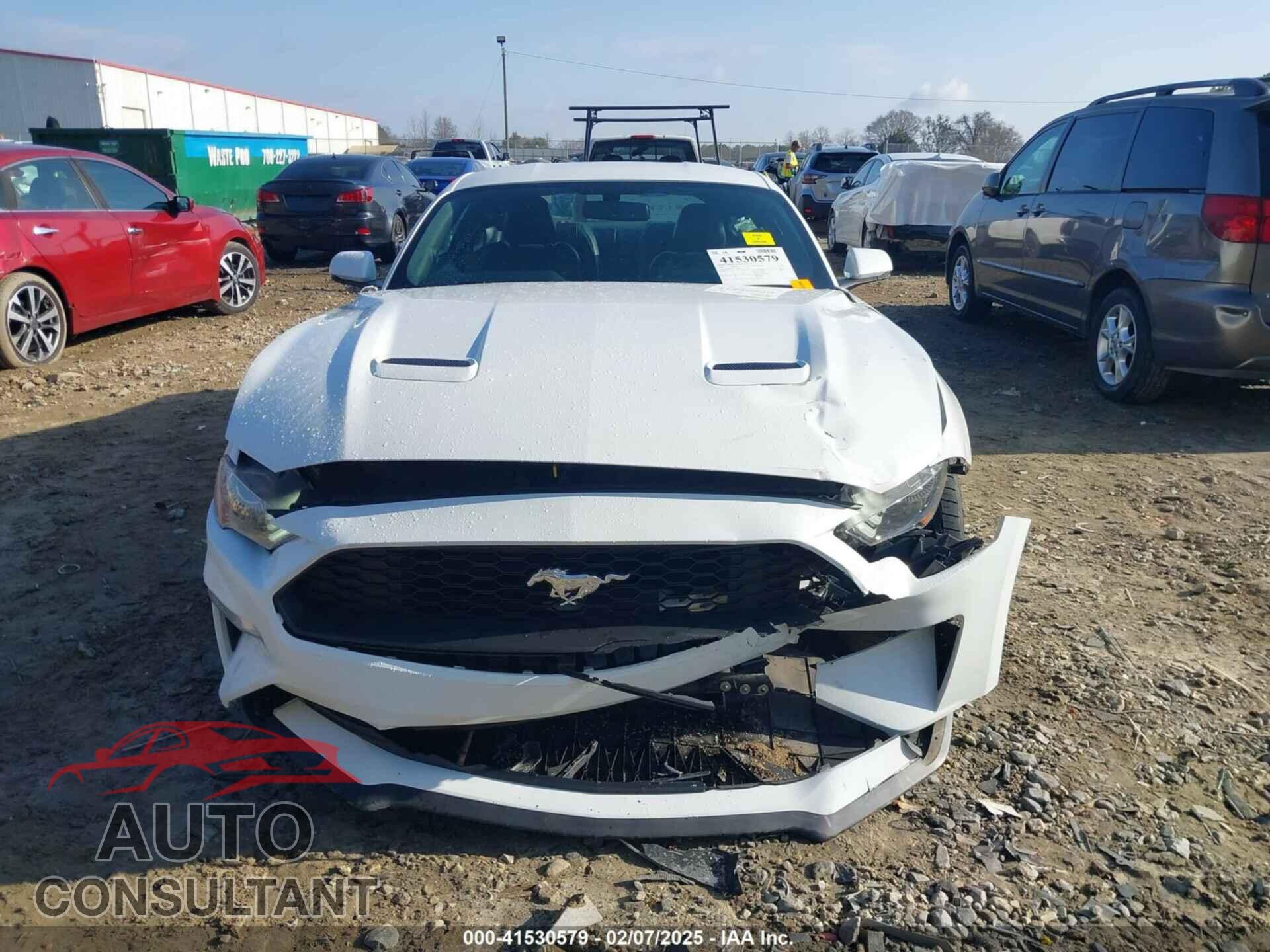 FORD MUSTANG 2019 - 1FA6P8TH7K5151242
