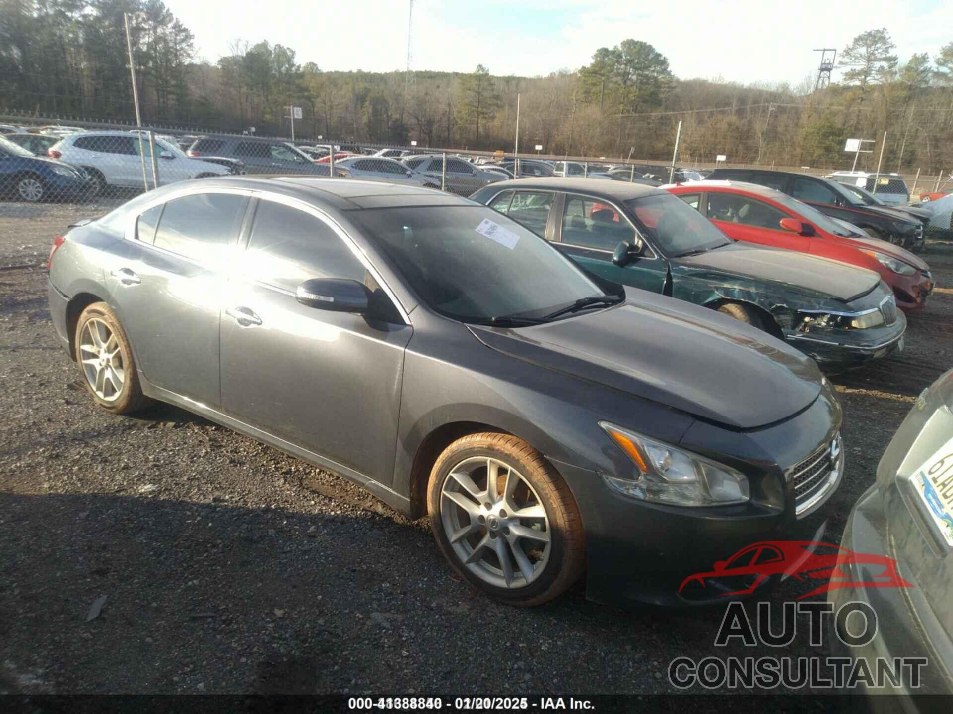 NISSAN MAXIMA 2010 - 1N4AA5AP7AC859182