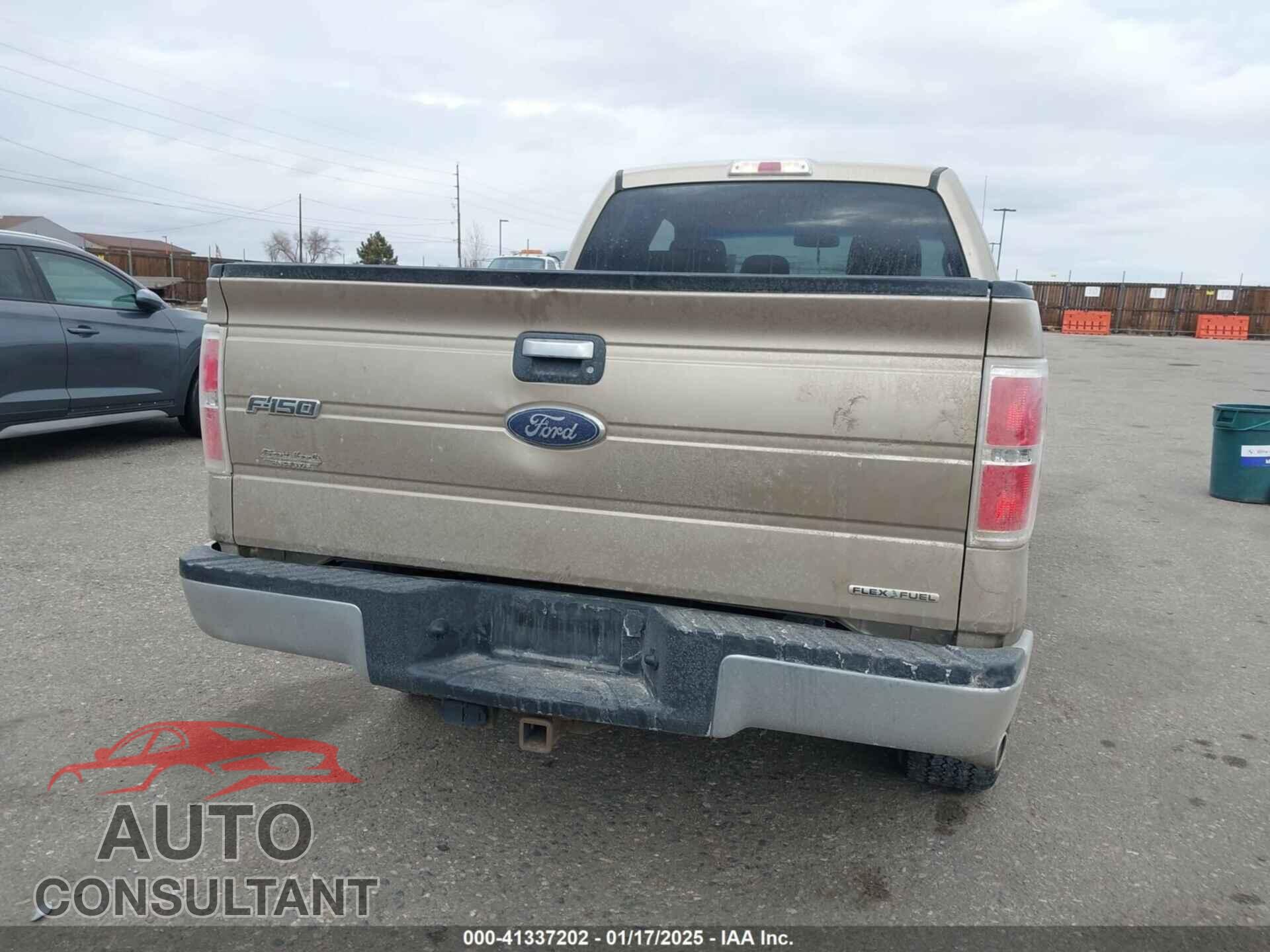 FORD F-150 2014 - 1FTFX1EF3EFA29778