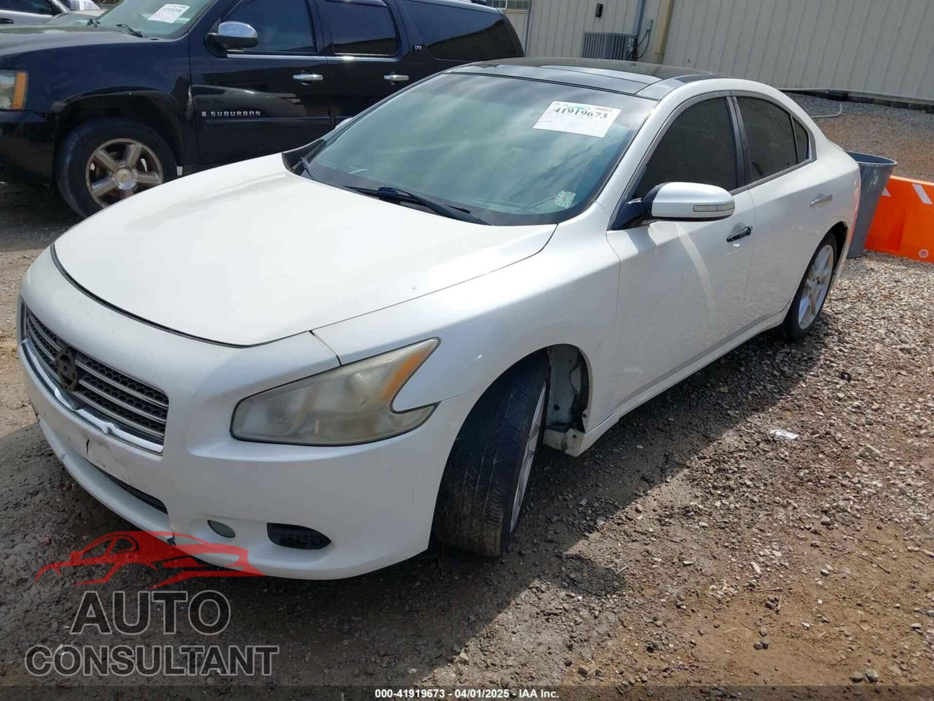 NISSAN MAXIMA 2011 - 1N4AA5AP7BC807374
